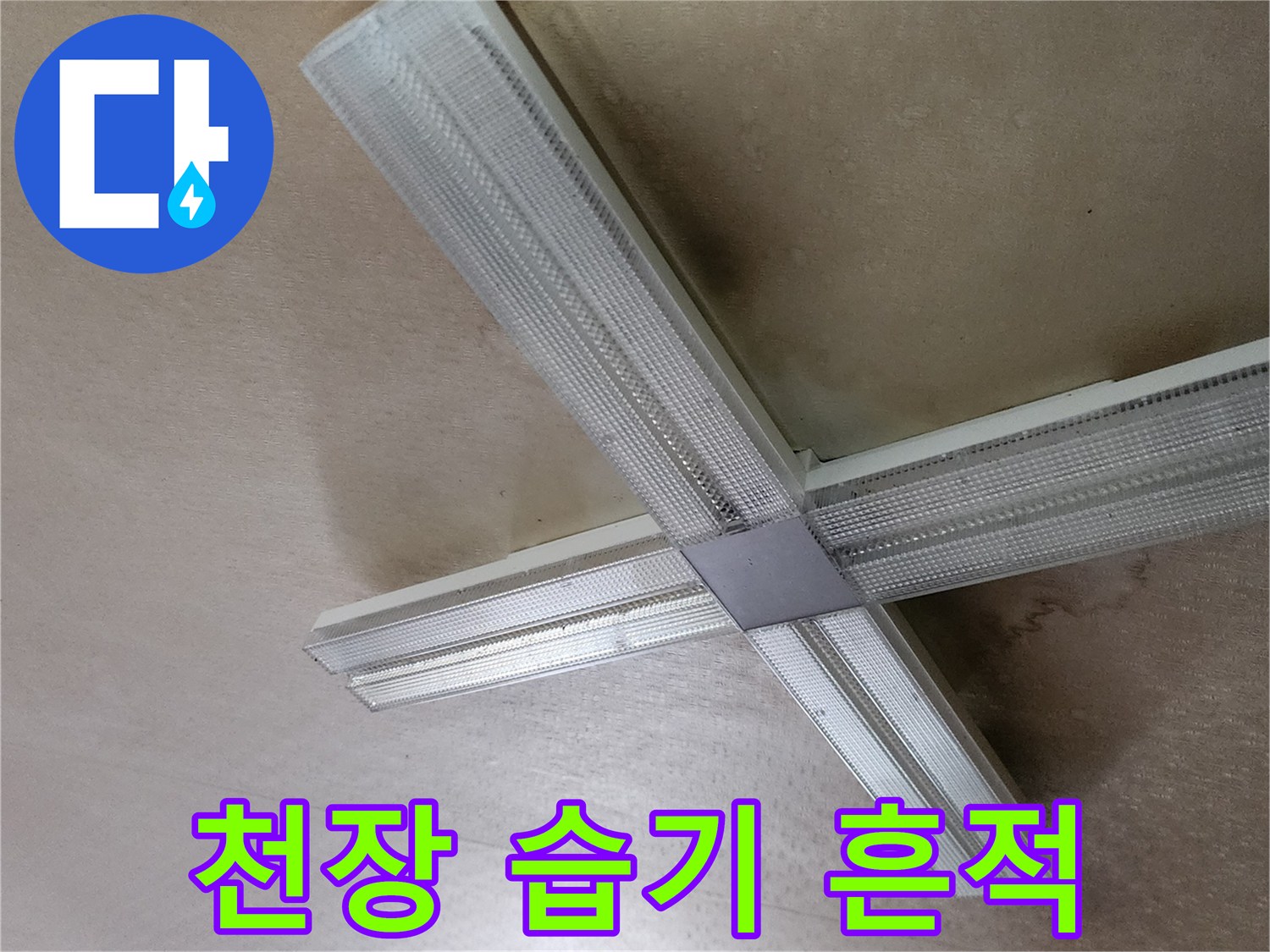 천장 조명 기구 주변의 물 번짐 상태