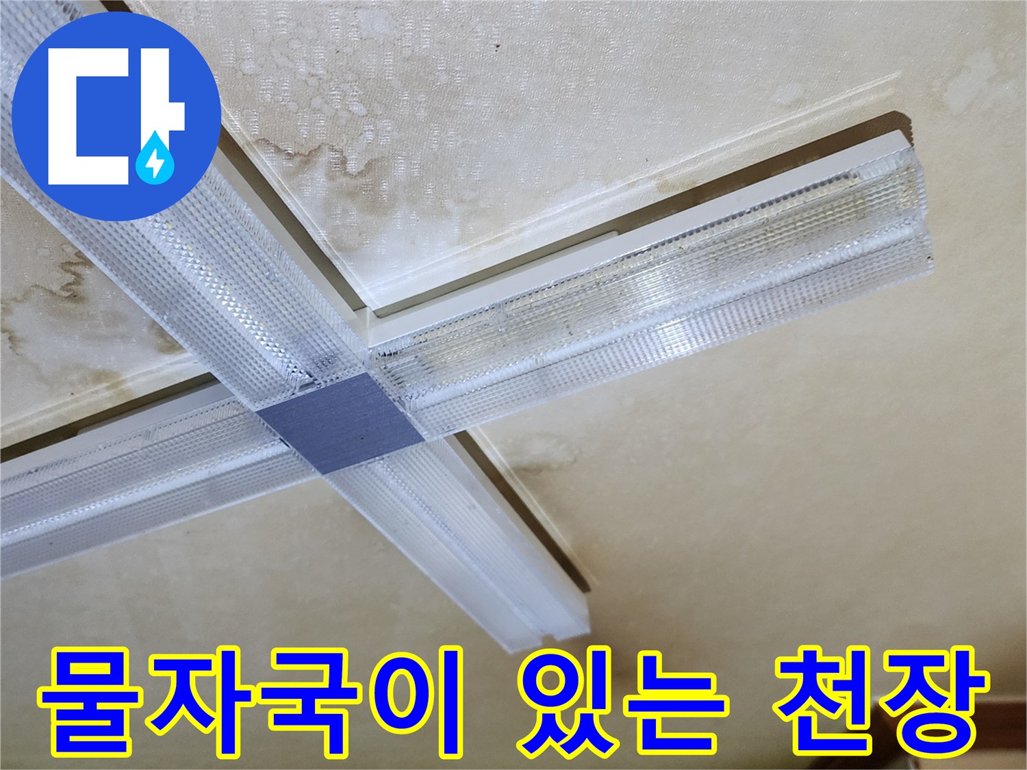 천장 조명 주변의 젖은 얼룩과 변색된 벽지 상태