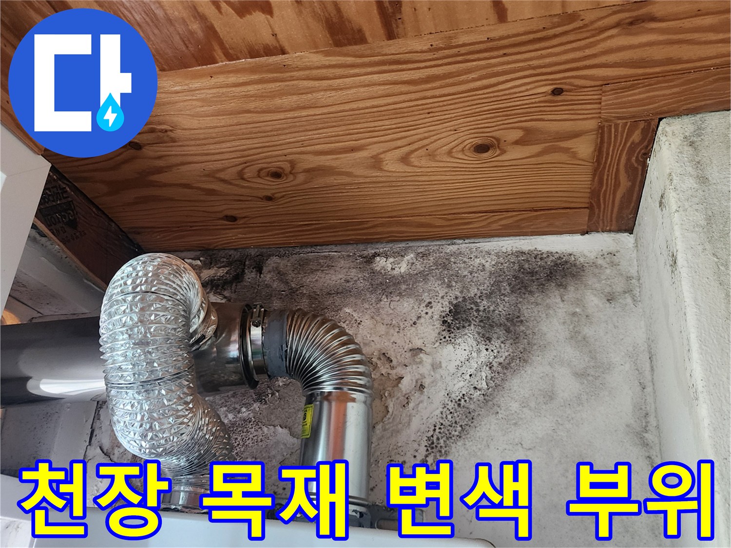 습기로 인해 변색된 천장 목재와 벽면 곰팡이