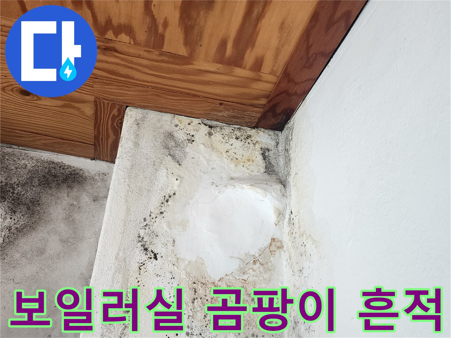양주 보일러실-벽면 곰팡이와 천장 목재 변색 사진