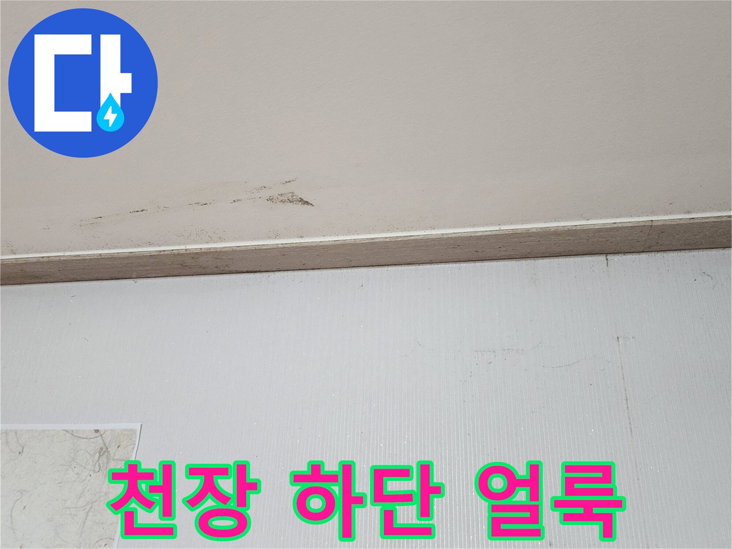천장-몰딩-경계의-어두운-습기-얼룩