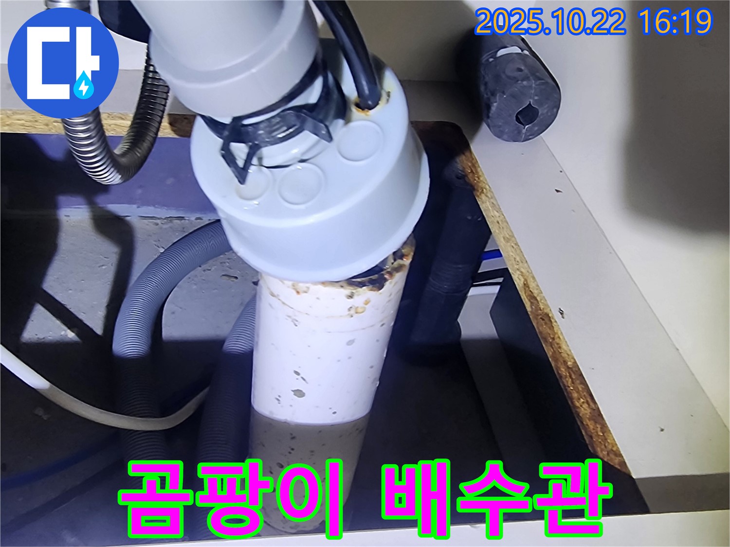 곰팡이 핀 싱크대 하부 - 배수관 점검