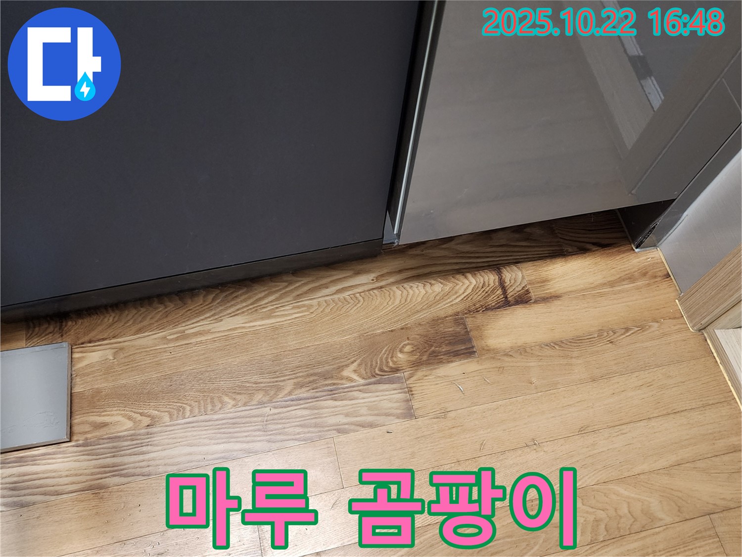 싱크대 주변 마루 곰팡이 - 습기 - 악취