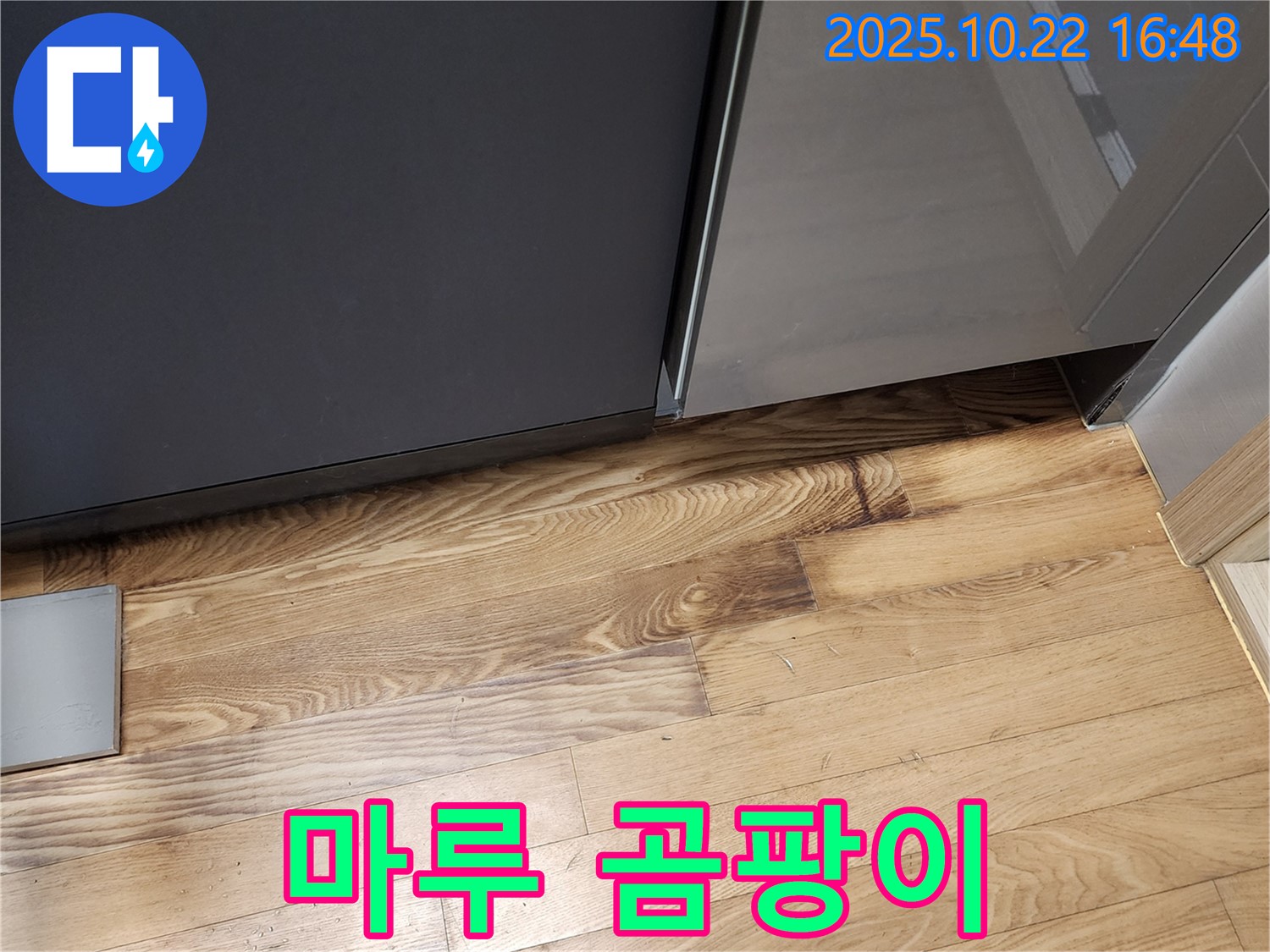 싱크대 하부 마루 곰팡이 - 습기 - 악취