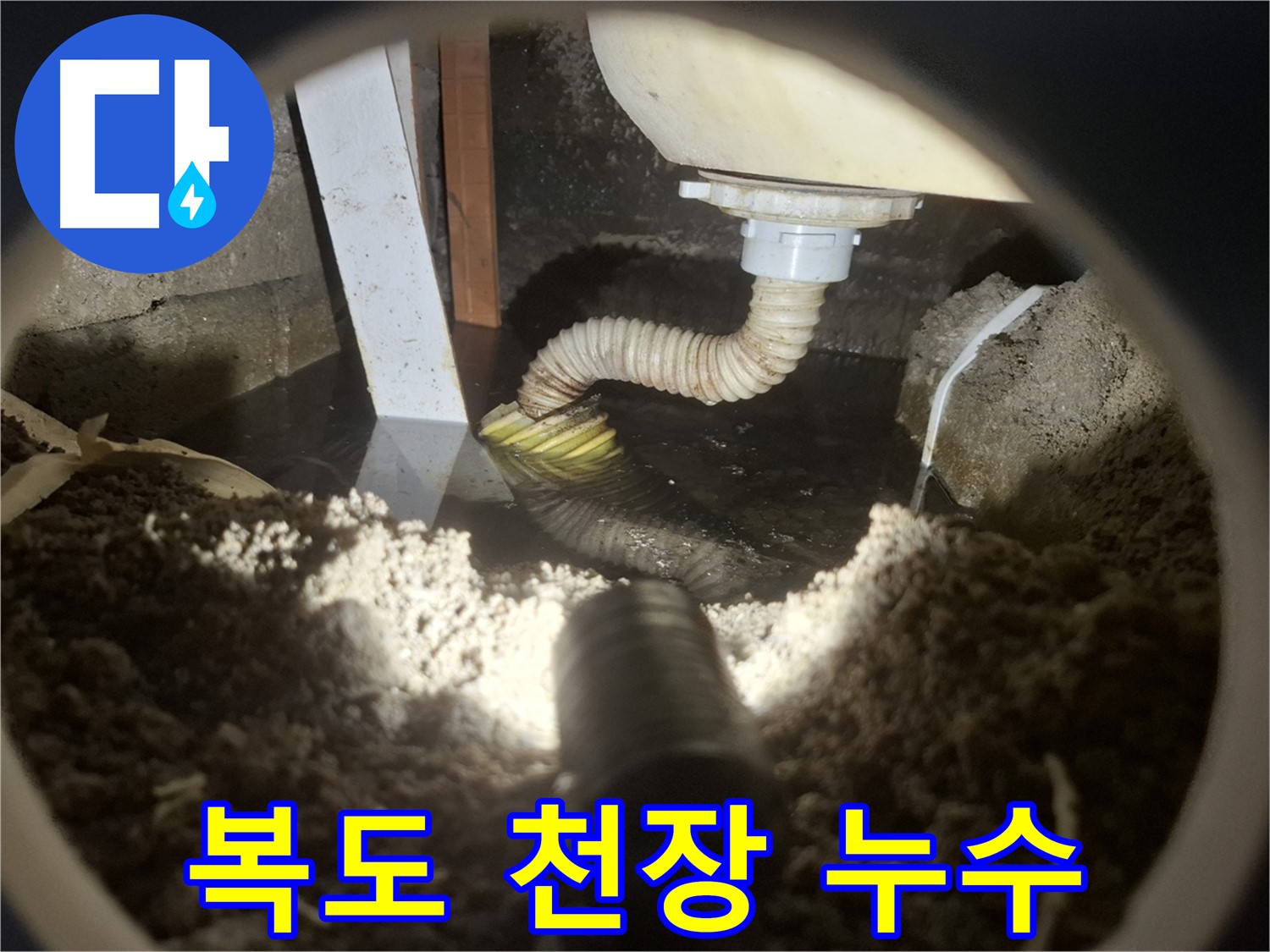 수원 팔달구 신풍동 누수 - 복도 천장 공용 배관 문제 누수