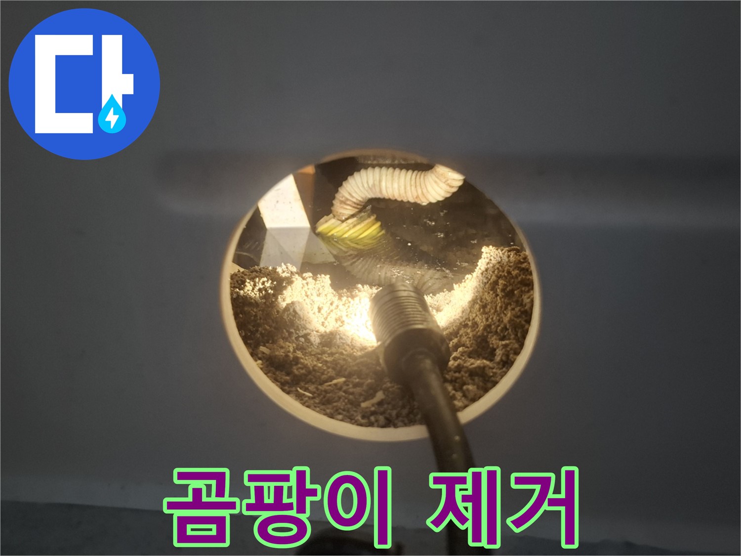 수원 팔달구 신풍동 천장 누수 - 석고보드 곰팡이 제거