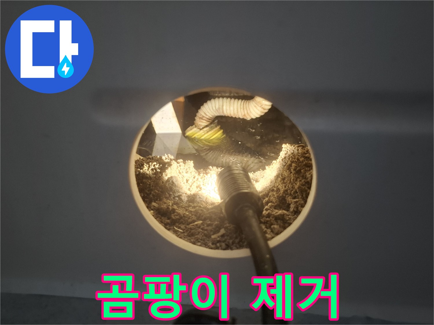 수원 팔달구 신풍동 천장 누수 - 석고보드 곰팡이 제거