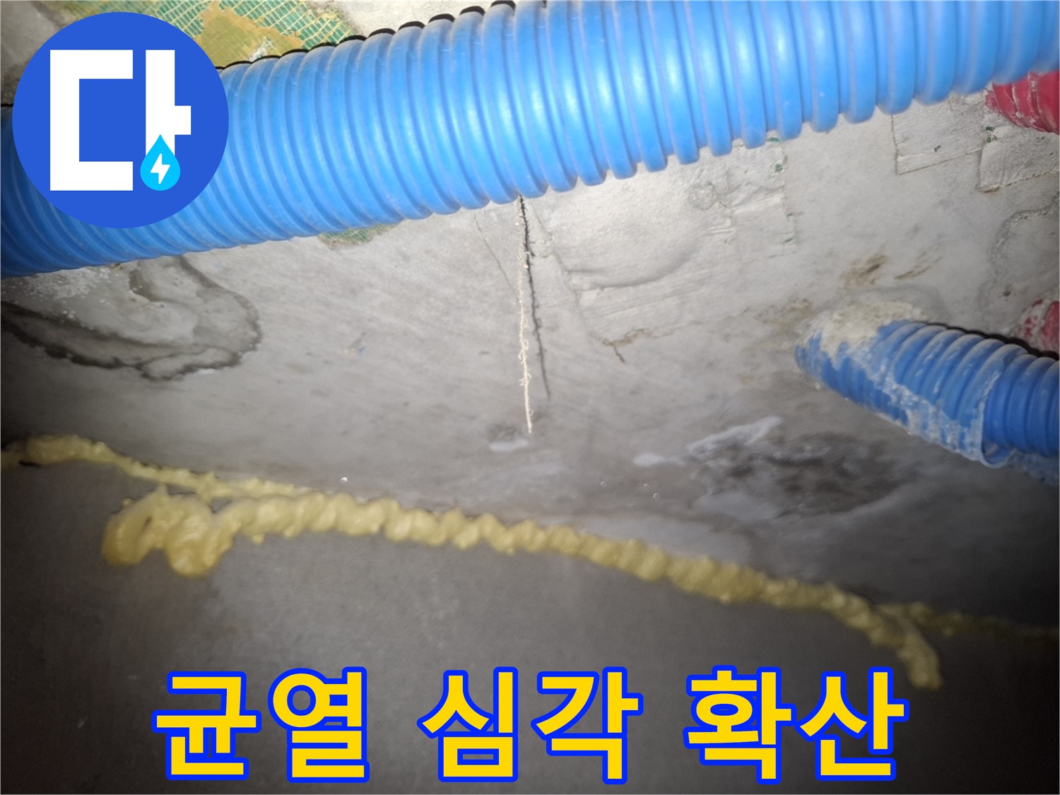 천장 균열 심각 - 누수 피해 확산 우려 - 신풍동 누수