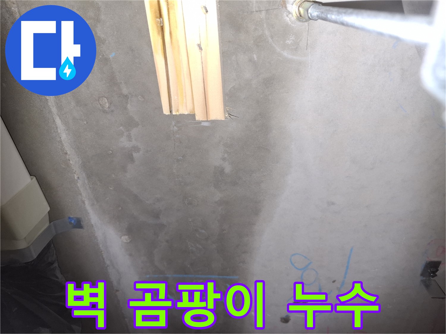 콘크리트 벽 누수 - 곰팡이