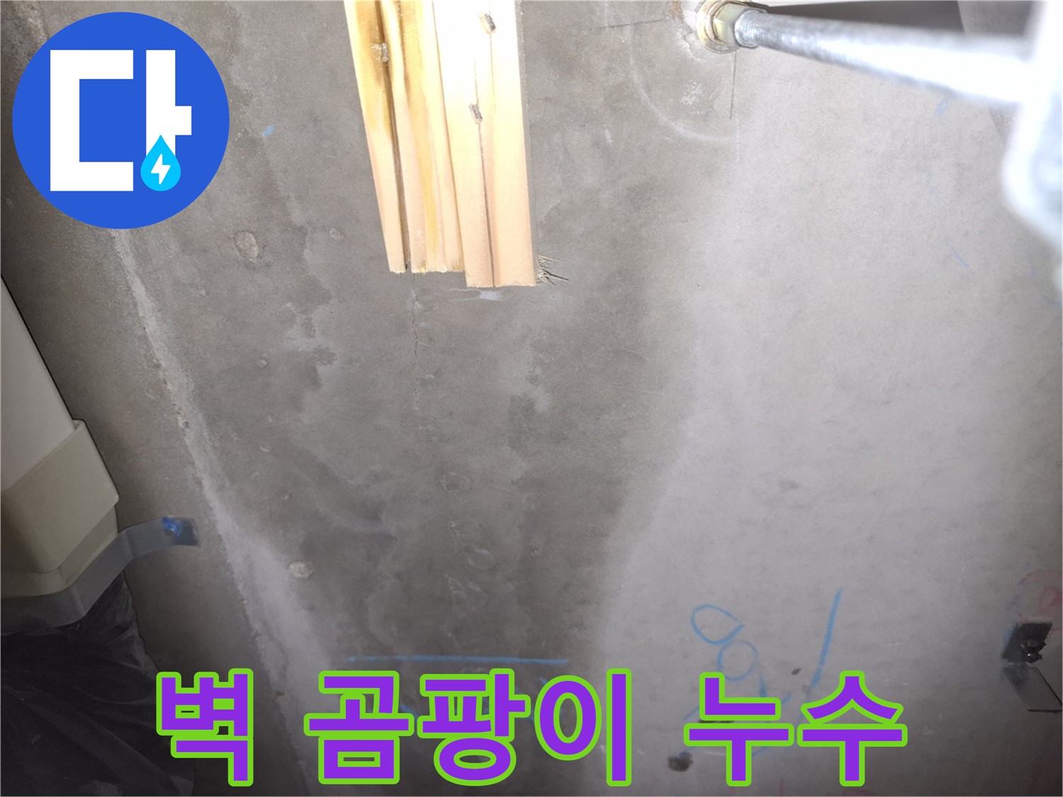콘크리트 벽 누수 - 곰팡이