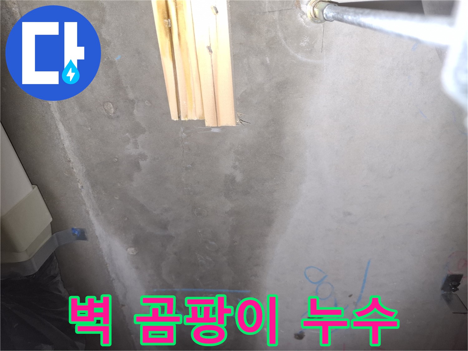 콘크리트 벽 누수 - 곰팡이