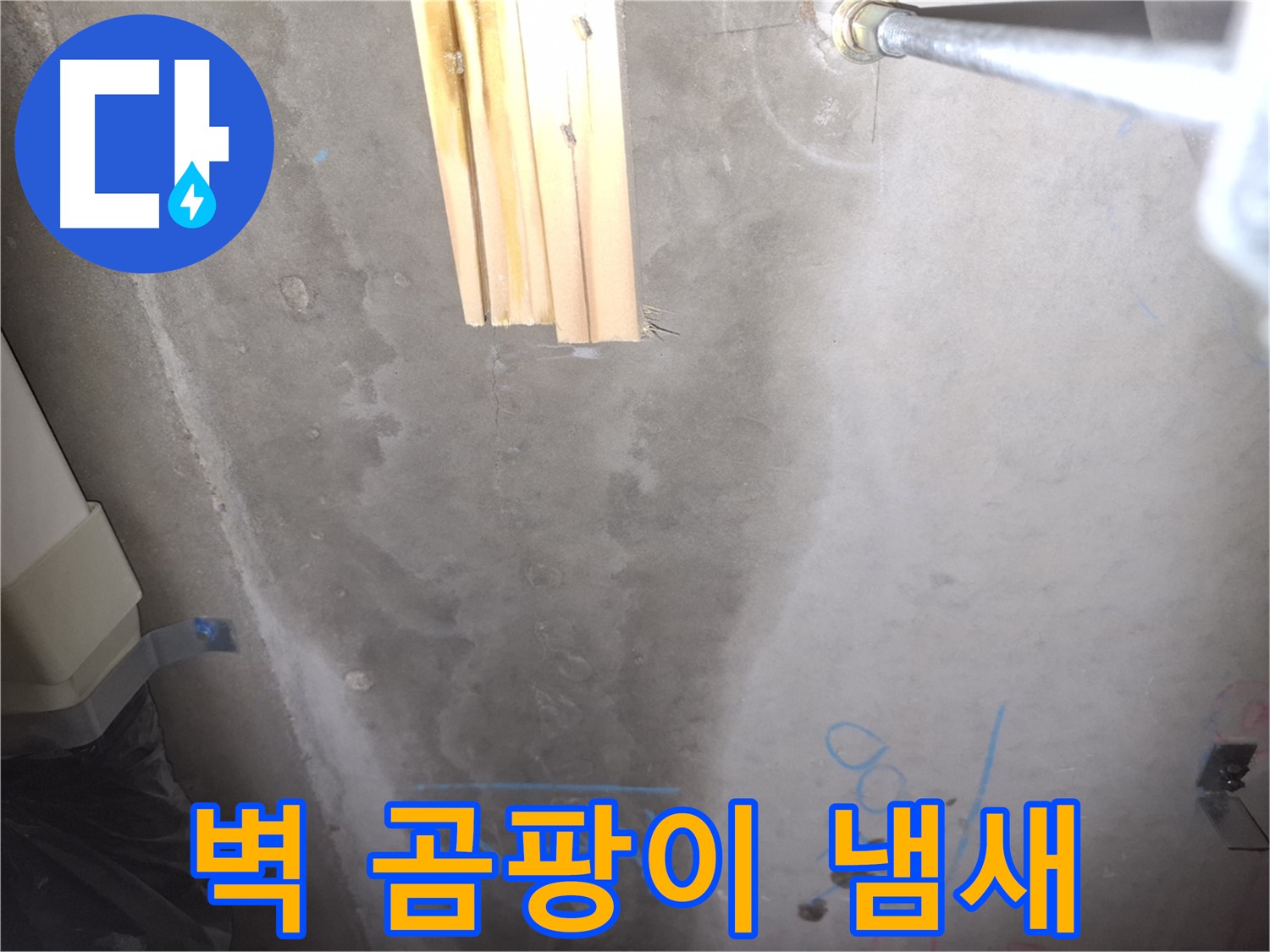 콘크리트 벽 누수 - 곰팡이 냄새