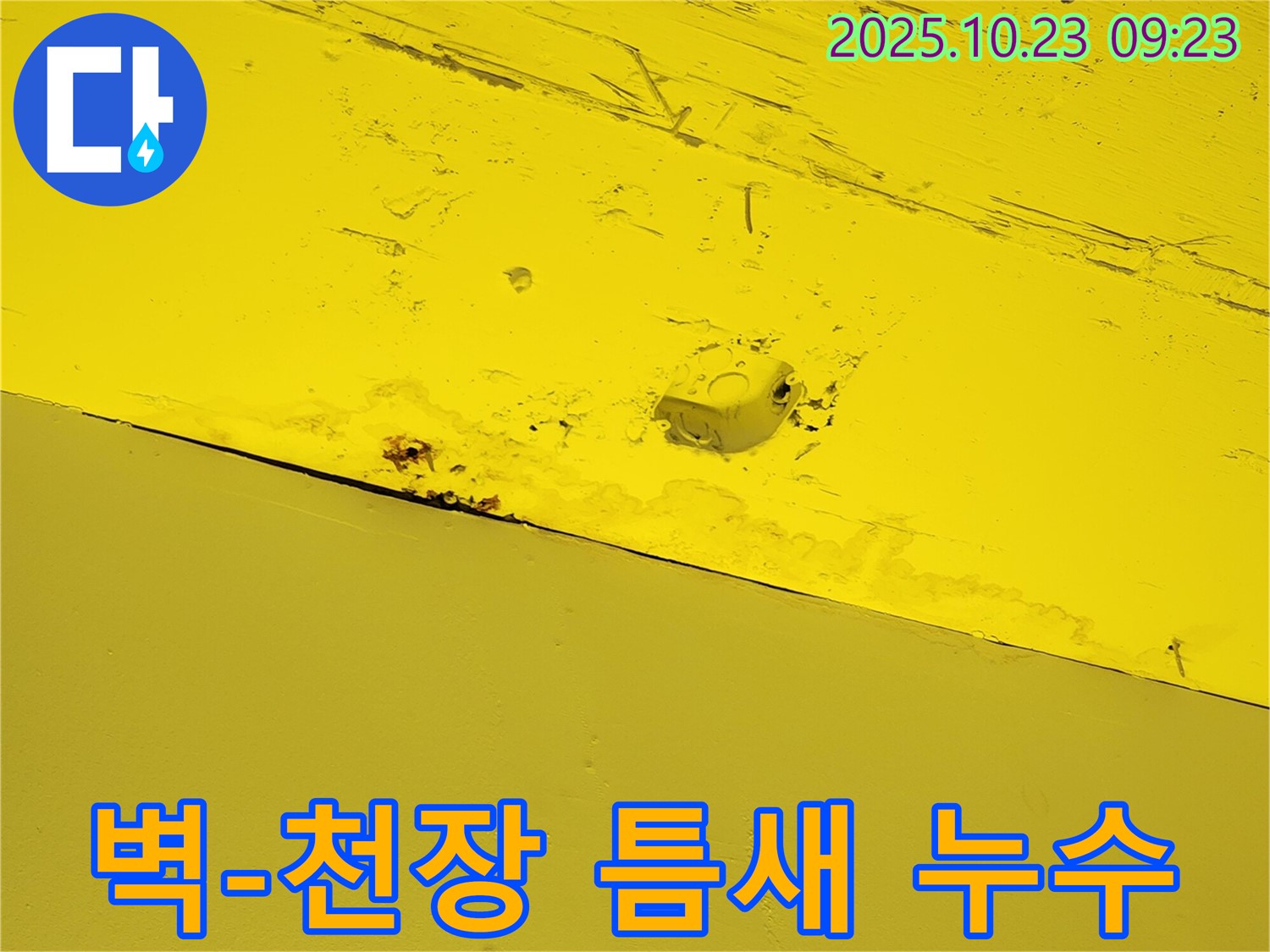 도하리 주택 천장 누수 - 벽과 천장 사이 틈새에서 누수 의심