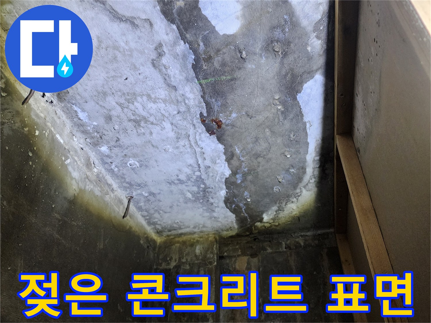 습기로 인해-얼룩진 천장 구조물