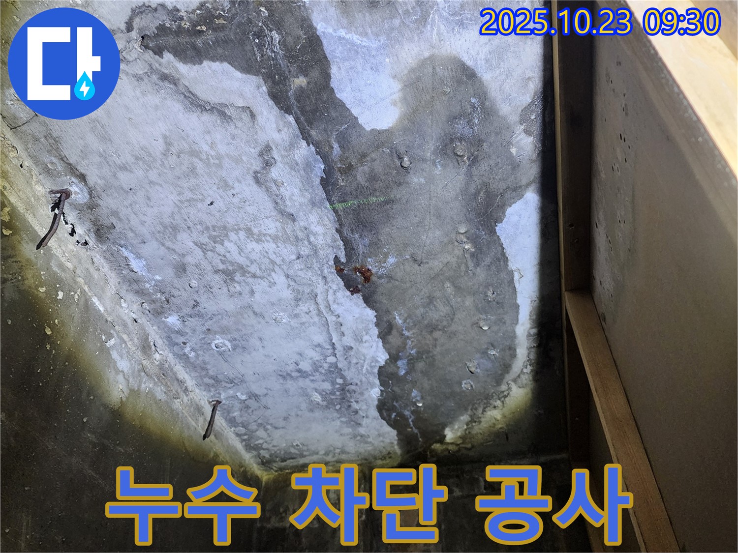 양주 도하리 누수 - 천장 누수, 완벽한 누수 차단 공사 진행