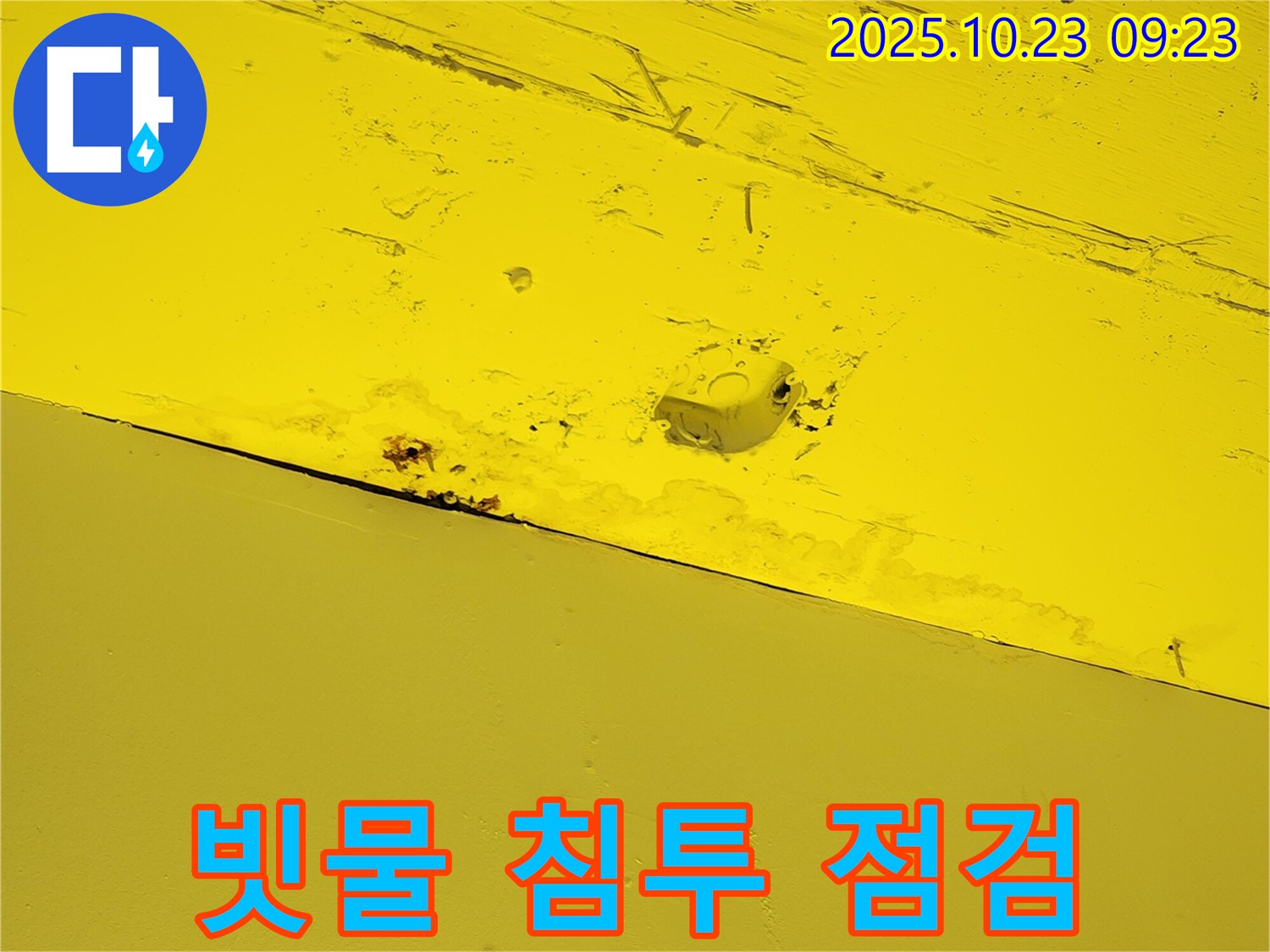 양주 도하리 주택 천장 누수 - 빗물 침투 가능성 점검 중