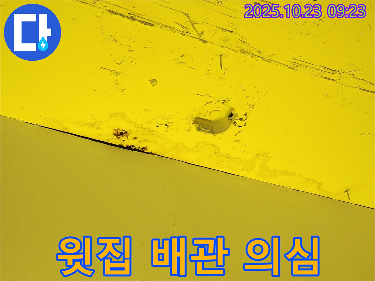 양주 도하리 주택 천장 누수 - 윗집 배관 문제 가능성
