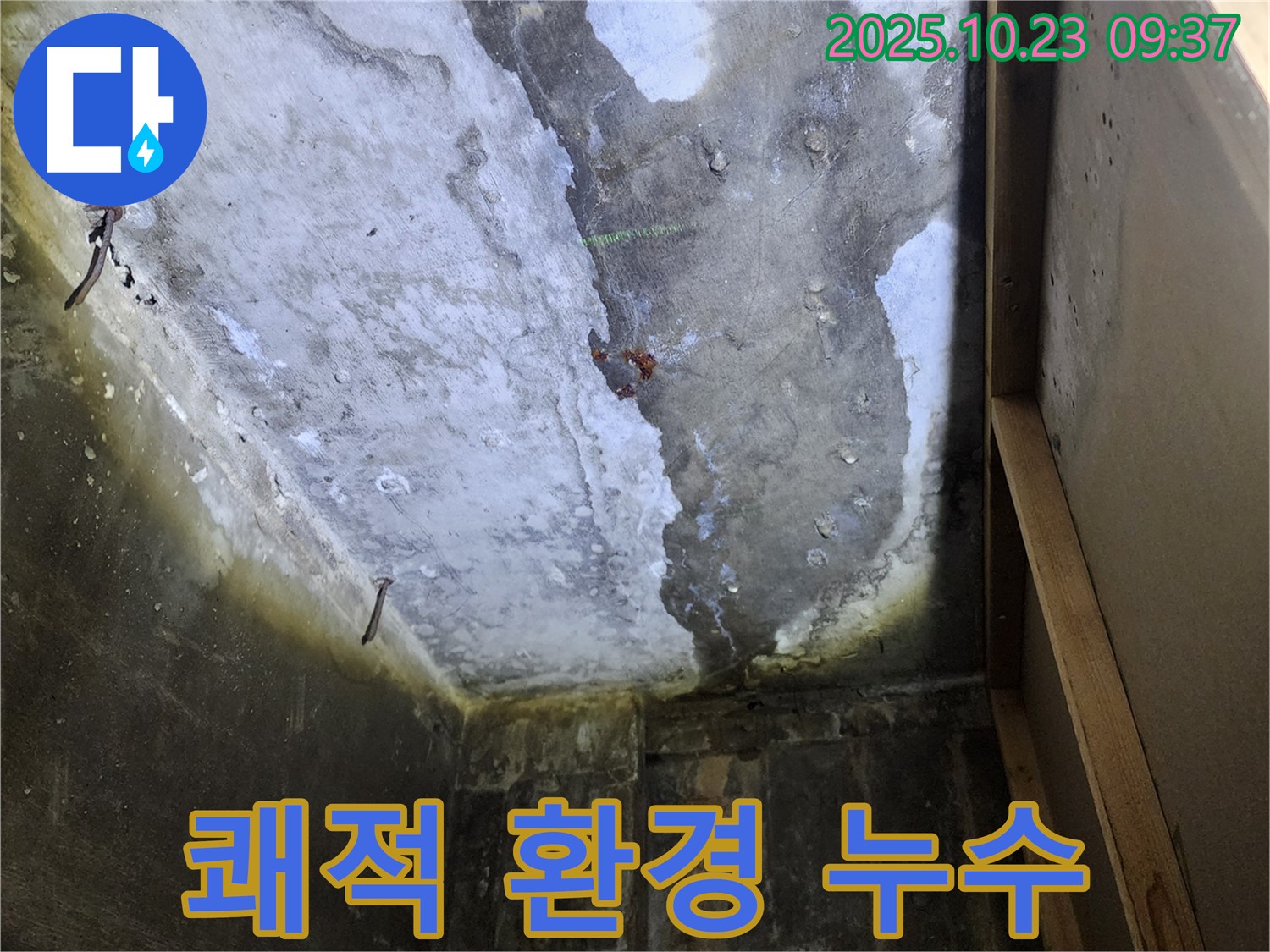 양주시 은현면 - 누수 해결 후 쾌적한 주거 환경을 되찾으세요.