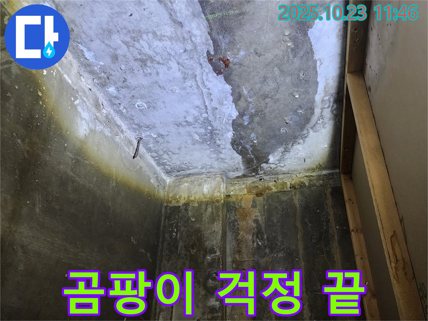양주 누수 - 누수 완벽 차단으로 곰팡이 걱정 없이 쾌적하게!