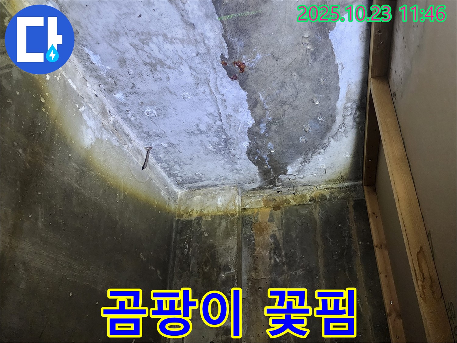 양주 은현면 하패리 누수 - 곰팡이 꽃핀 천장, 건강에 적신호가 켜졌습니다