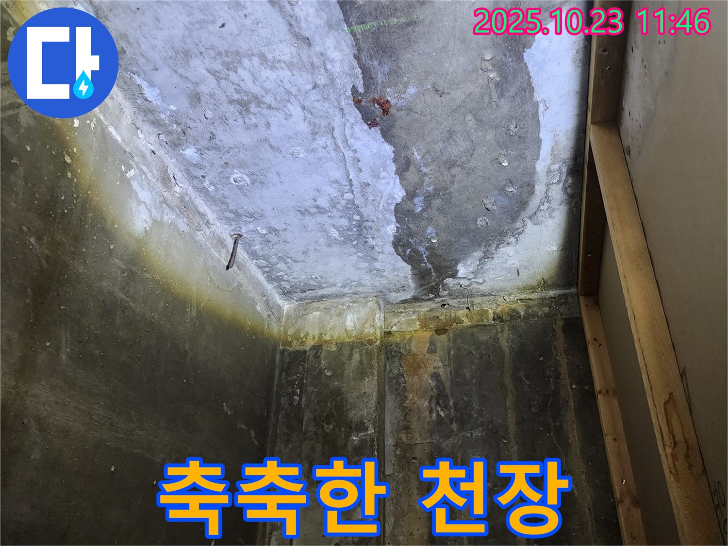 양주 하패리 누수 - 축축한 천장, 누수 초기 증상일 수 있으니 주의하세요