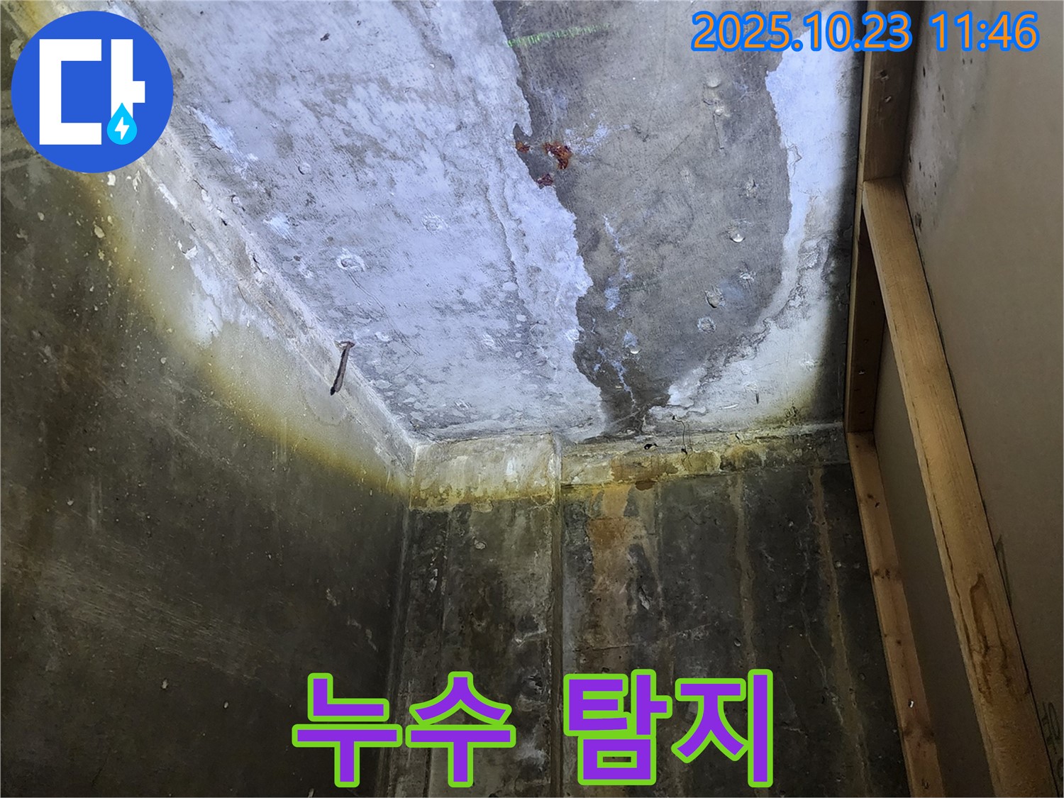 양주 하패리 누수 현장 - 최첨단 장비를 사용하여 누수 탐지