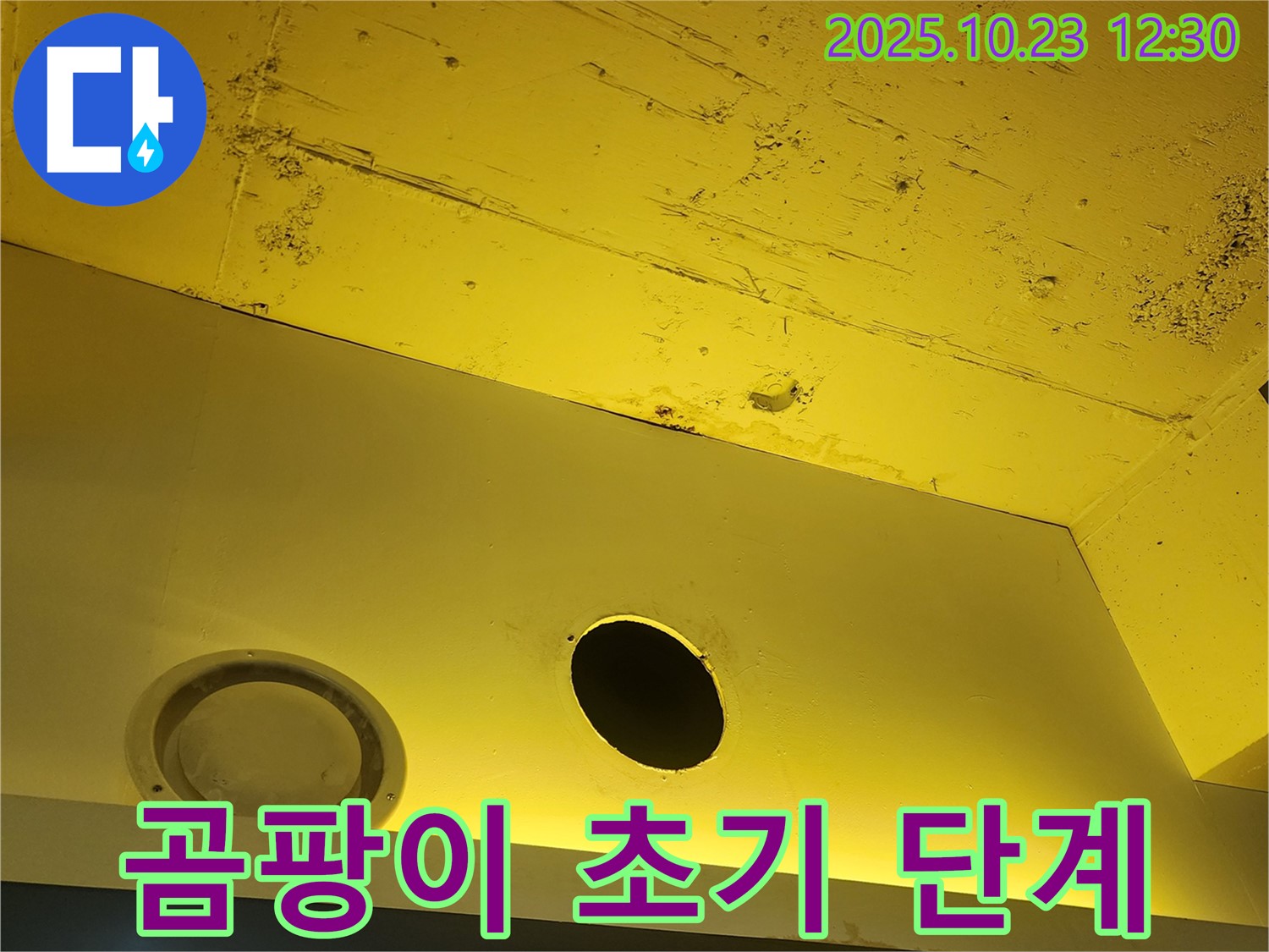 양주 하패리 천장 - 곰팡이 발생 초기 단계, 꼼꼼한 제거 작업