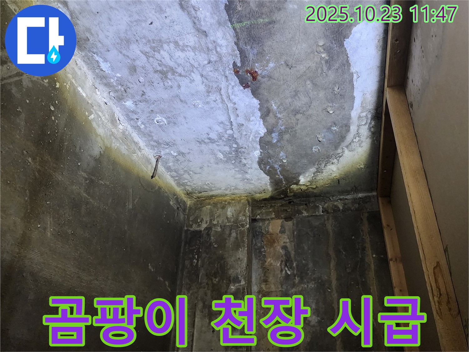 양주시 은현면 - 곰팡이 뒤덮인 천장, 누수 해결 시급
