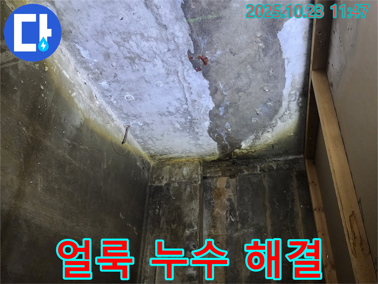 양주시 - 천장 곰팡이 얼룩, 누수 해결 우선