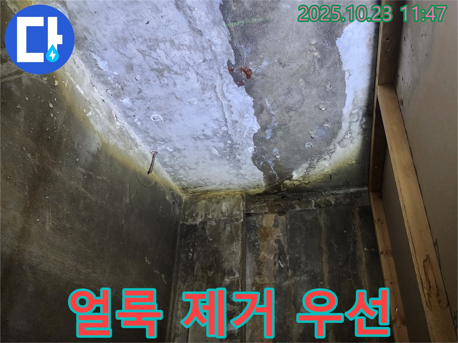 양주시 - 천장 곰팡이 얼룩 제거, 누수 해결 우선