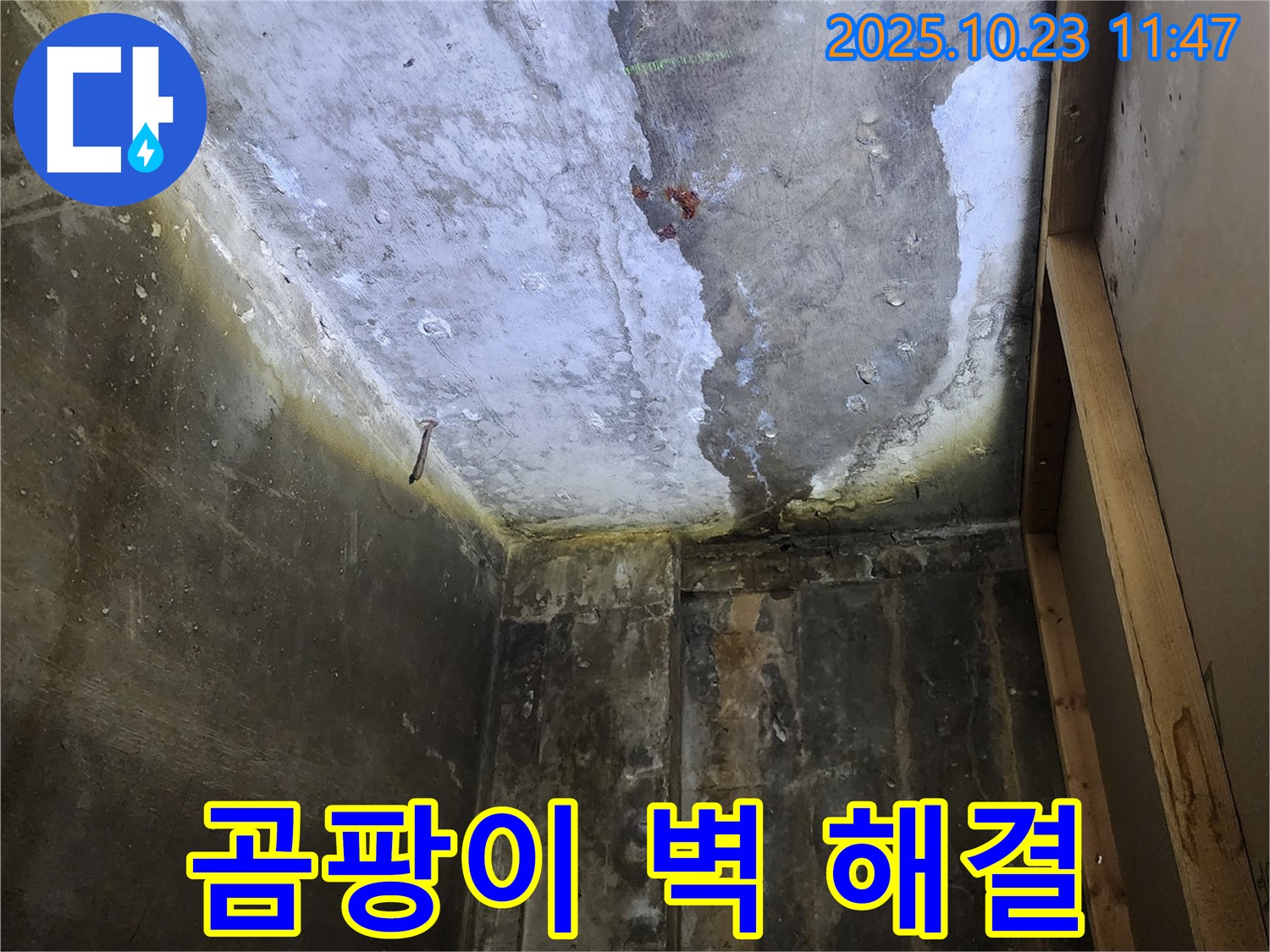 양주시 하패리 - 곰팡이 가득한 벽, 누수 해결 우선