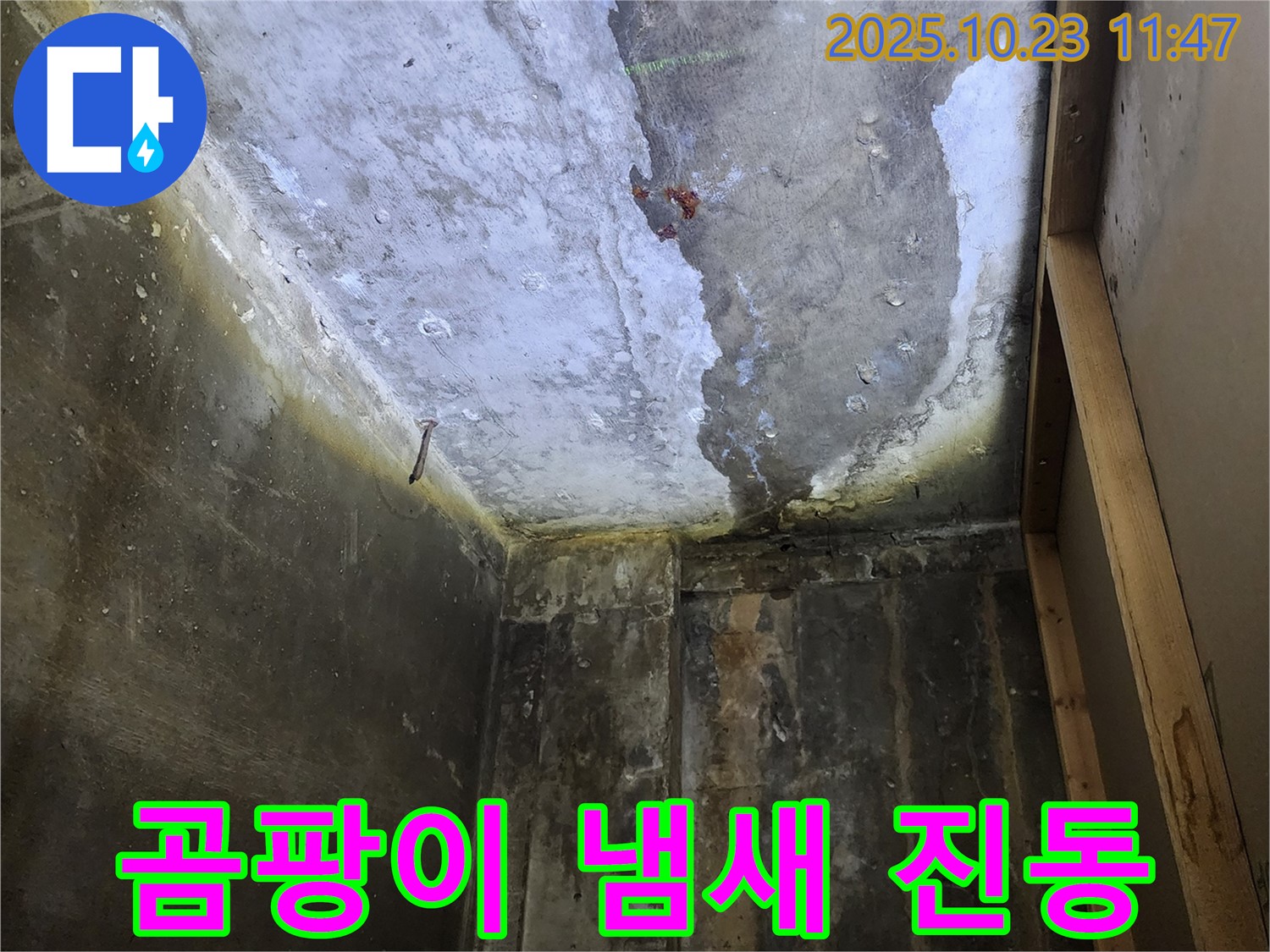 양주시 하패리 - 곰팡이 냄새 진동, 천장 누수 의심