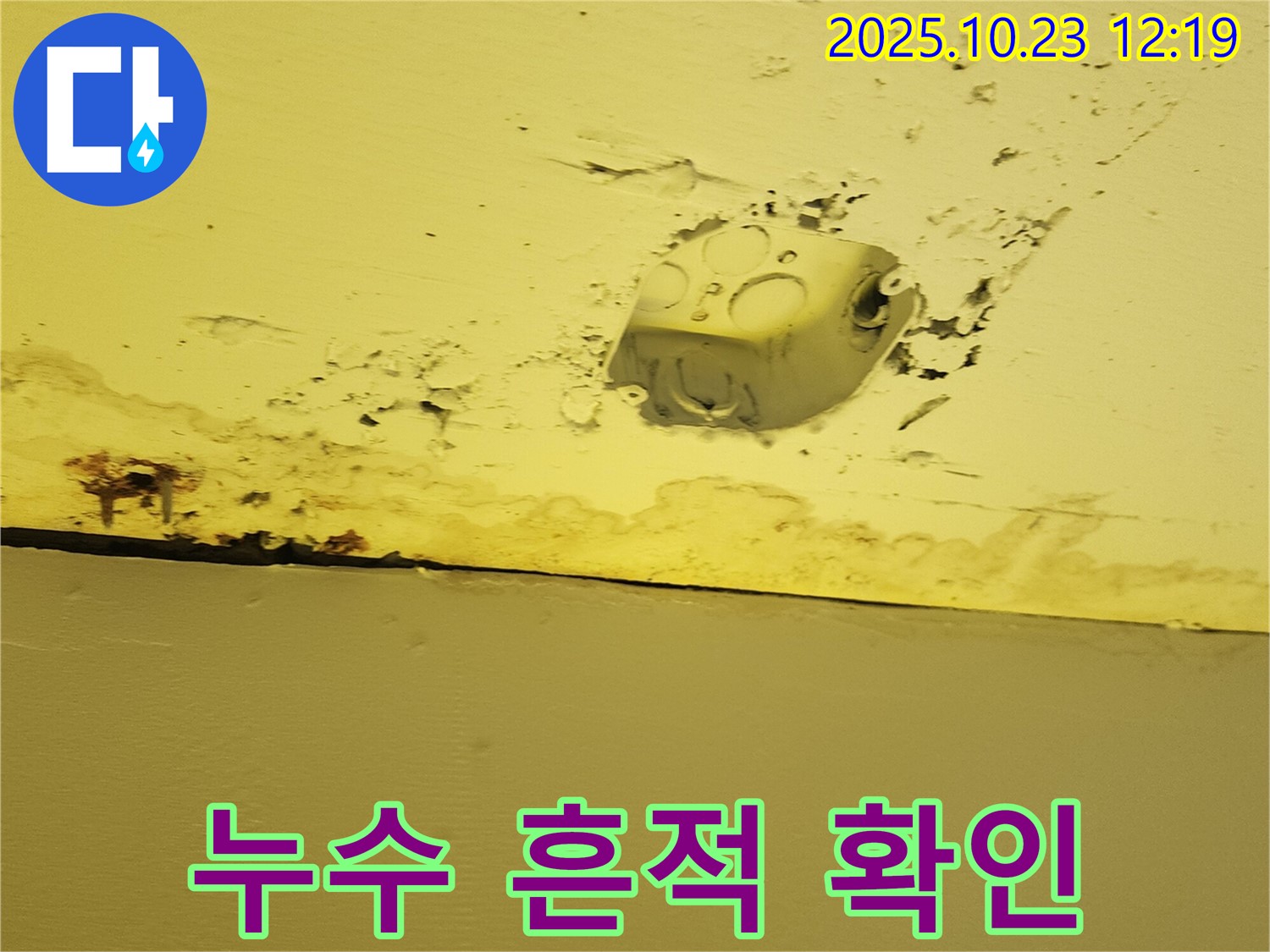 양주시 하패리 누수 현장 - 천장 누수 흔적과 주변의 전기 설비