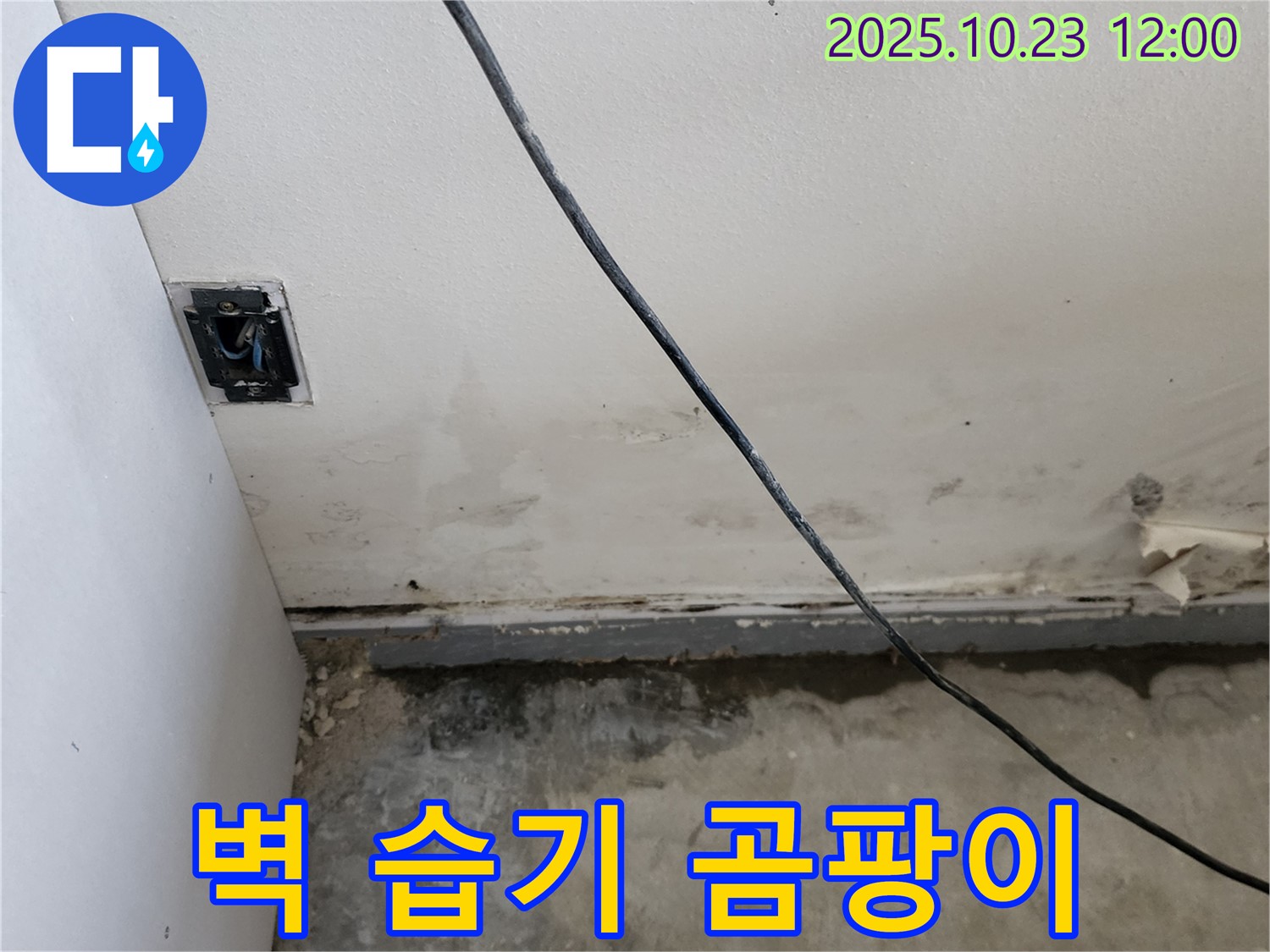 양주시 하패리 - 벽 하단 습기, 곰팡이, 누수 문제 해결