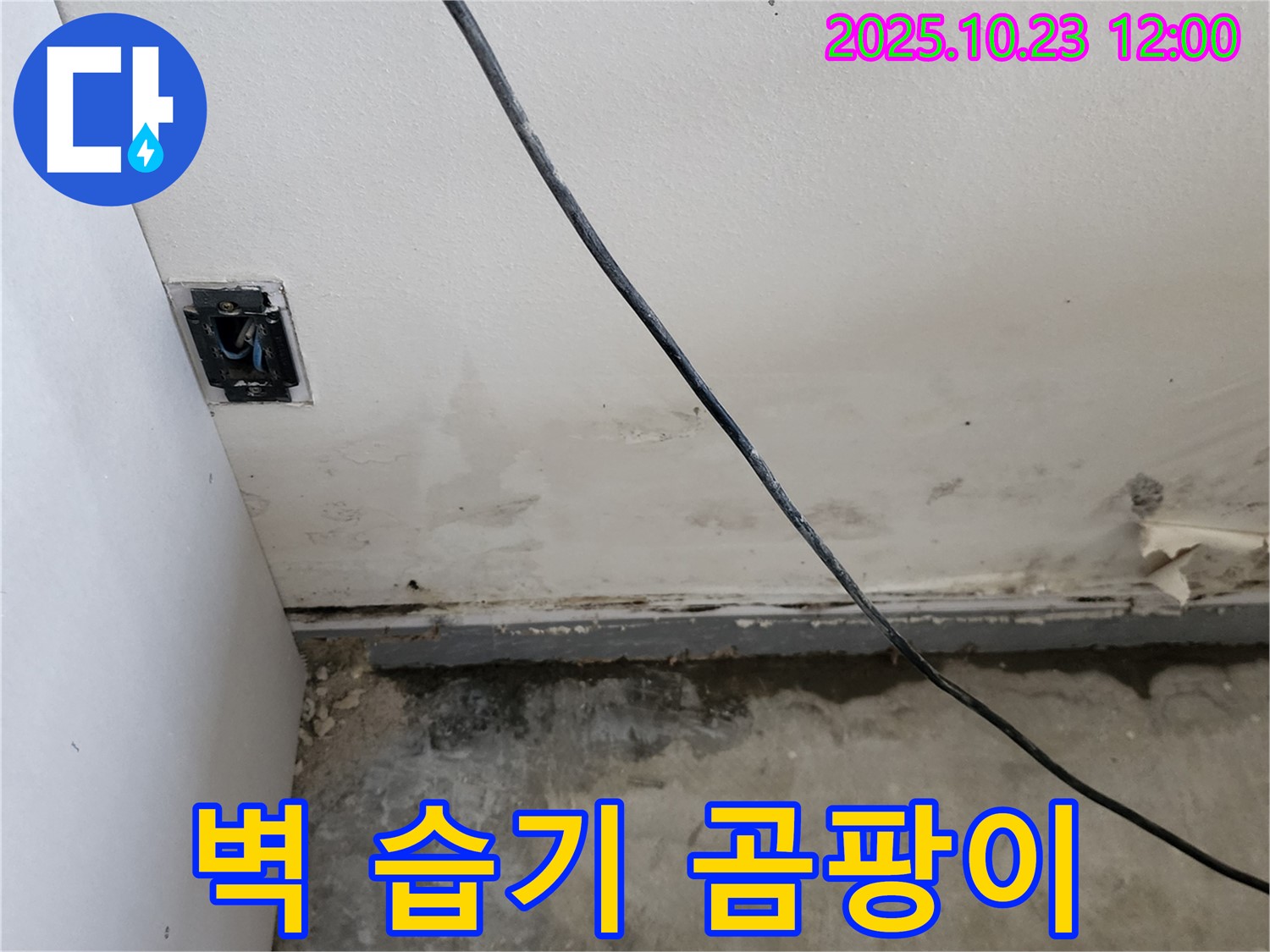 양주시 하패리 - 벽 하단 습기, 곰팡이, 누수 문제 해결! 쾌적한 공간 약속!