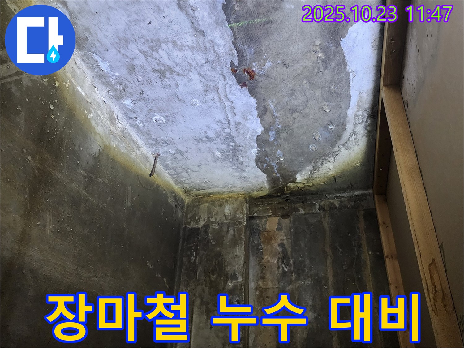 양주시 하패리 장마철 누수 대비 - 꼼꼼한 점검과 완벽한 누수 차단