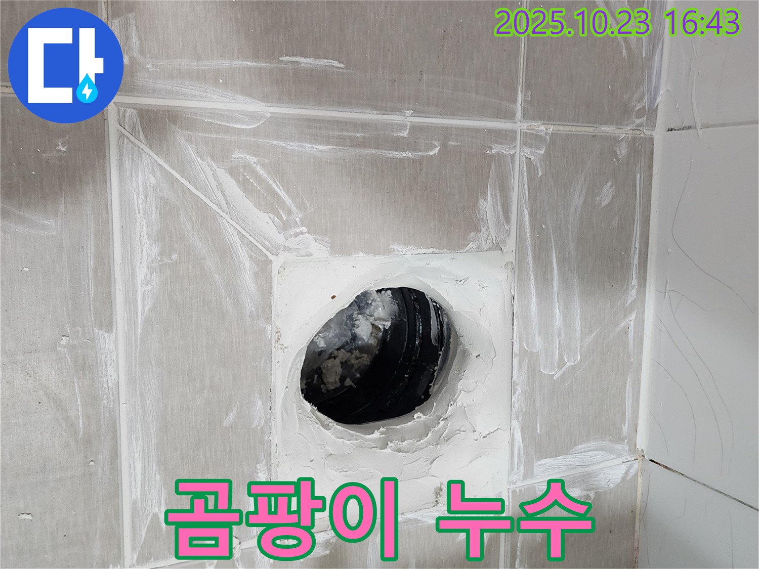 곰팡이 핀 실리콘 - 누수 가능성