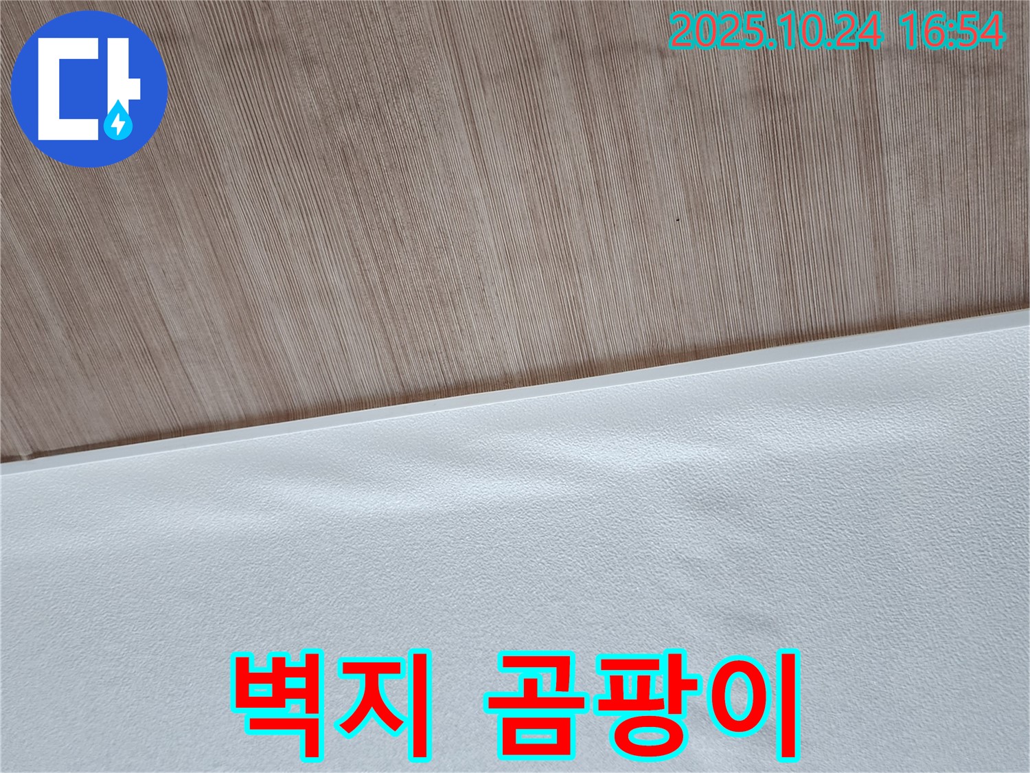 곰팡이 핀 벽지 - 벽지에 곰팡이가 심하게 핀 모습입니다.