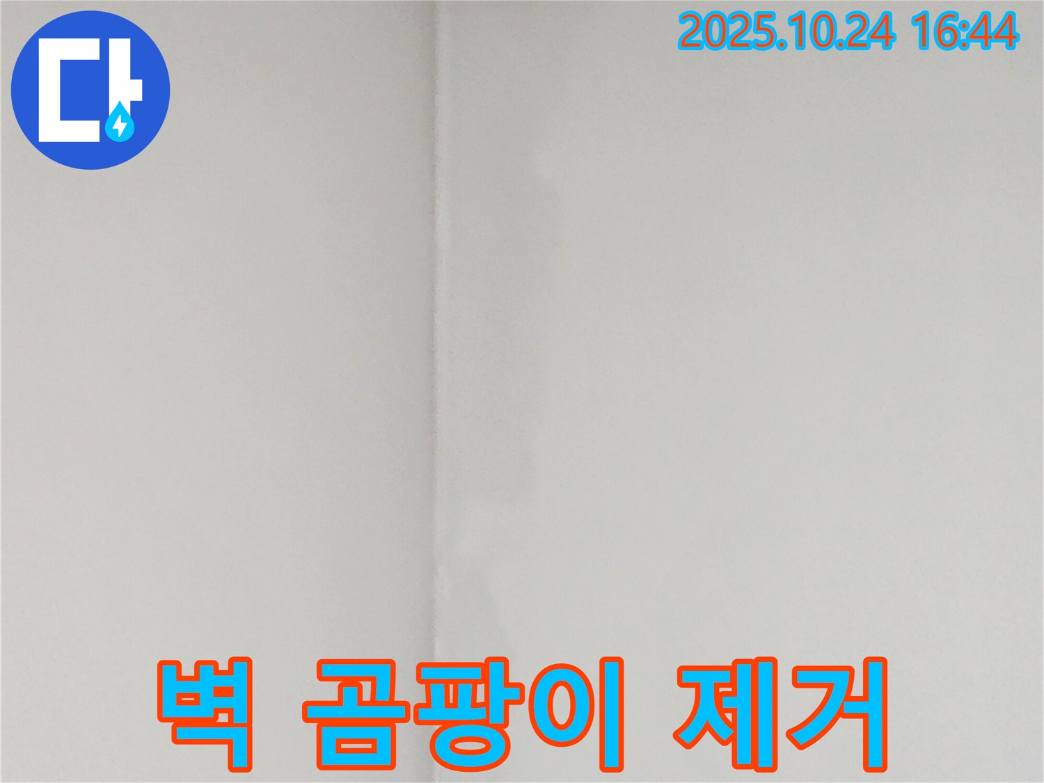 벽 곰팡이 제거 - 봉우로, 쾌적한 공간을 만들어 드립니다.