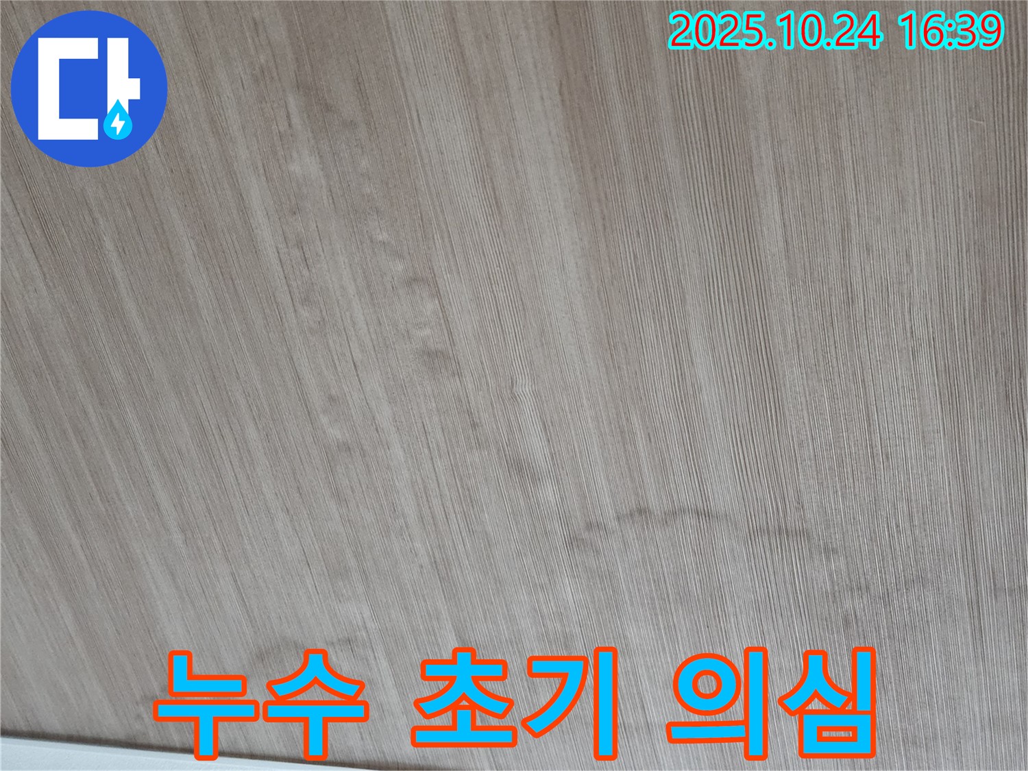 양주 봉우로 누수 - 장판 젖음과 곰팡이, 누수 초기 증상인지 꼼꼼하게 확인해 보세요.