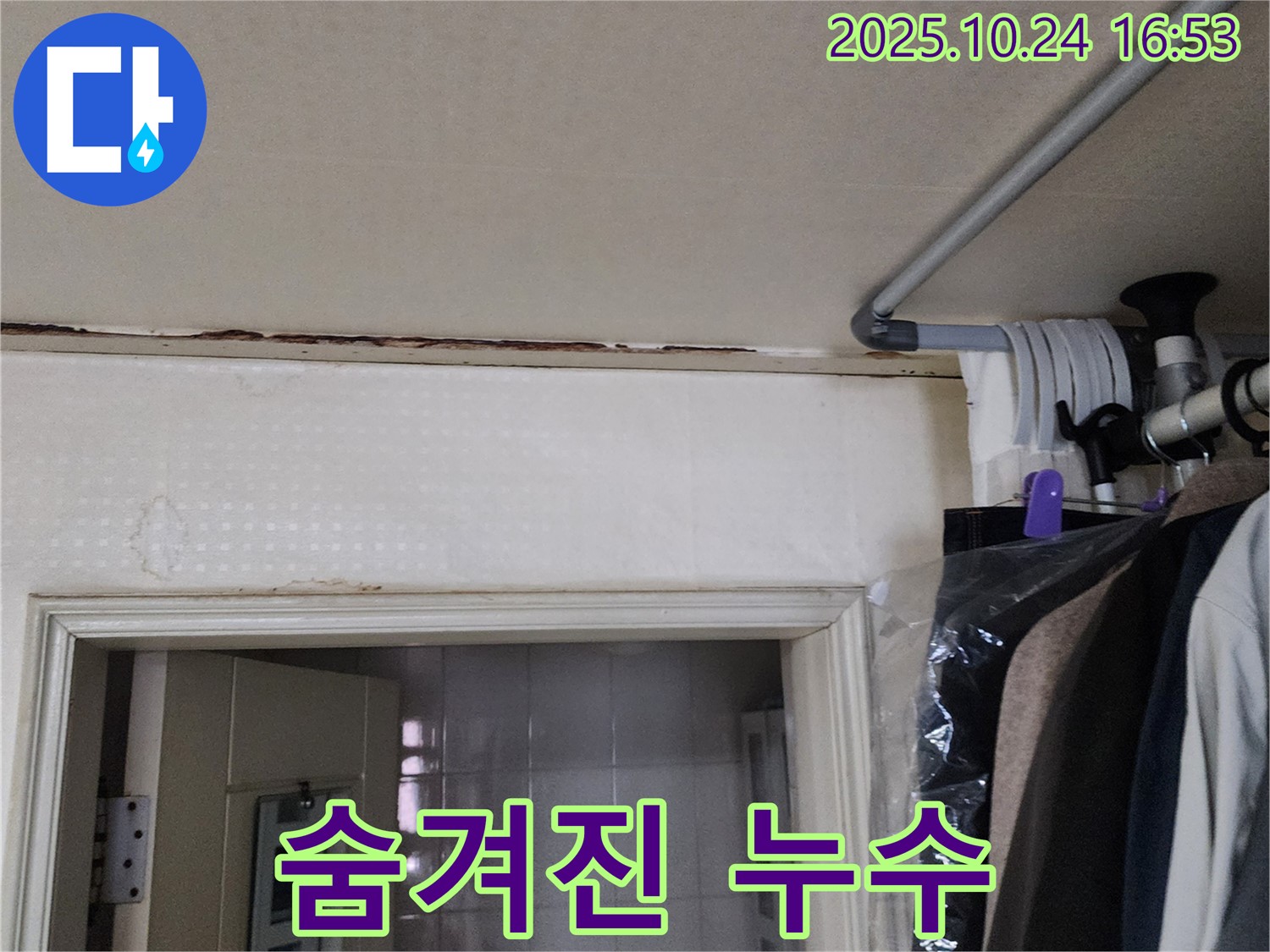 양주시 - 곰팡이 냄새 - 숨겨진 누수 해결