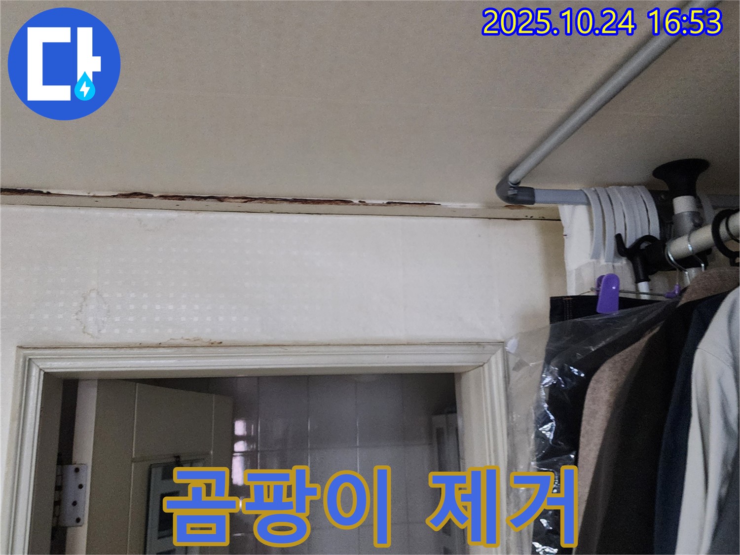 양주시 - 곰팡이 - 누수 잡고 제거