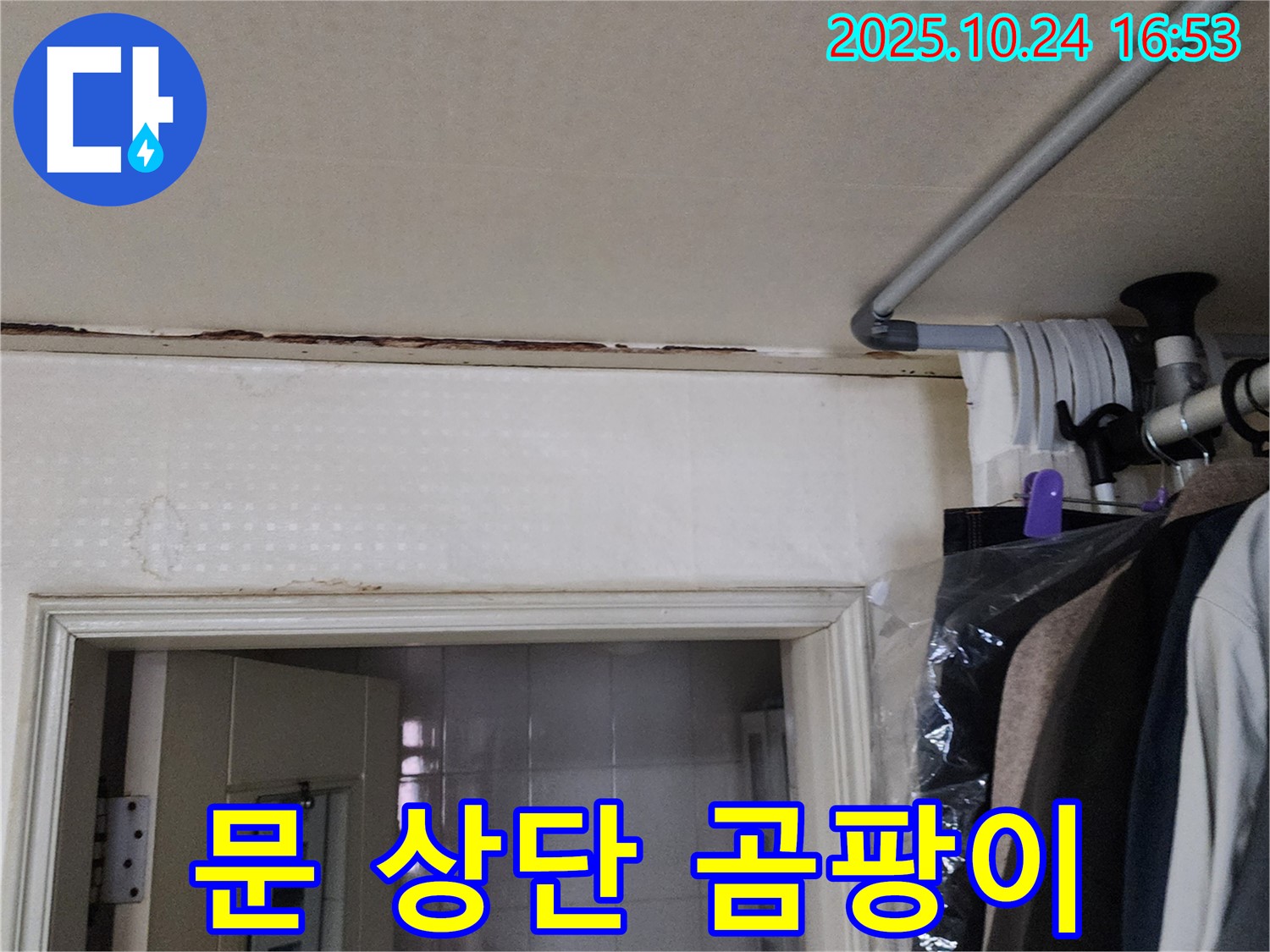 양주시 - 문 상단 곰팡이 - 설비 전문가 진단