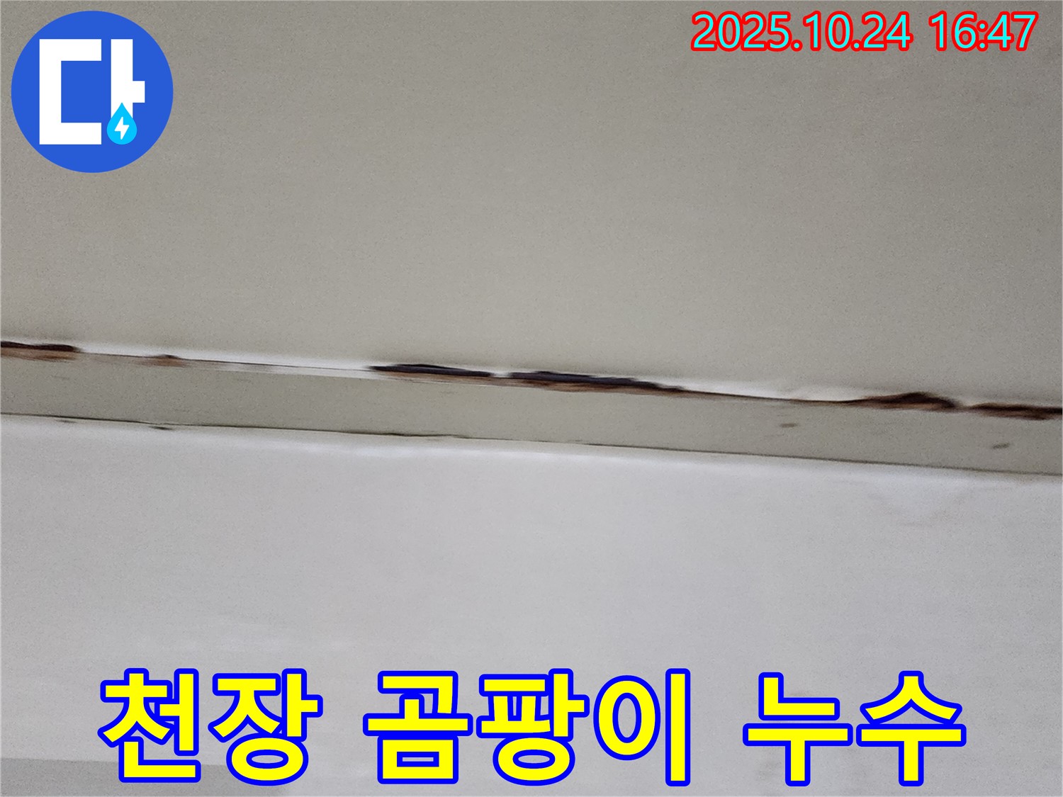 양주시 양주1동 누수 - 천장 곰팡이 제거 및 누수 해결
