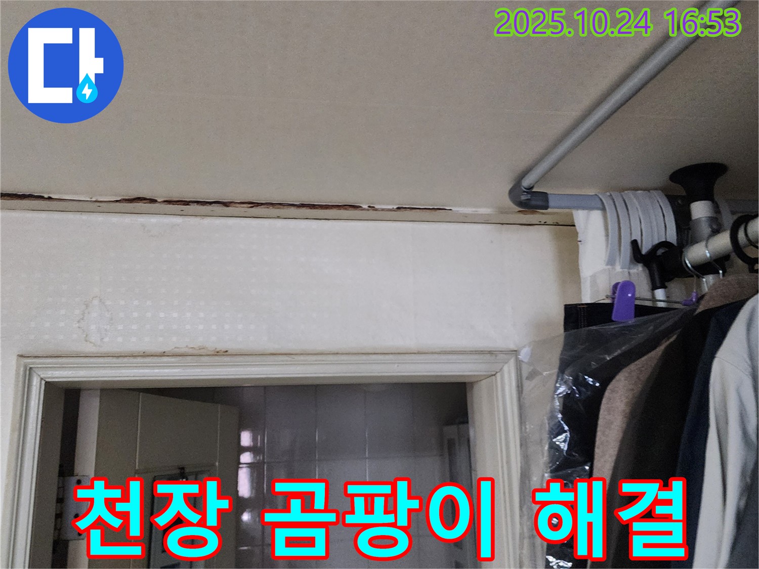 양주시 - 천장 곰팡이 - 누수 해결 먼저