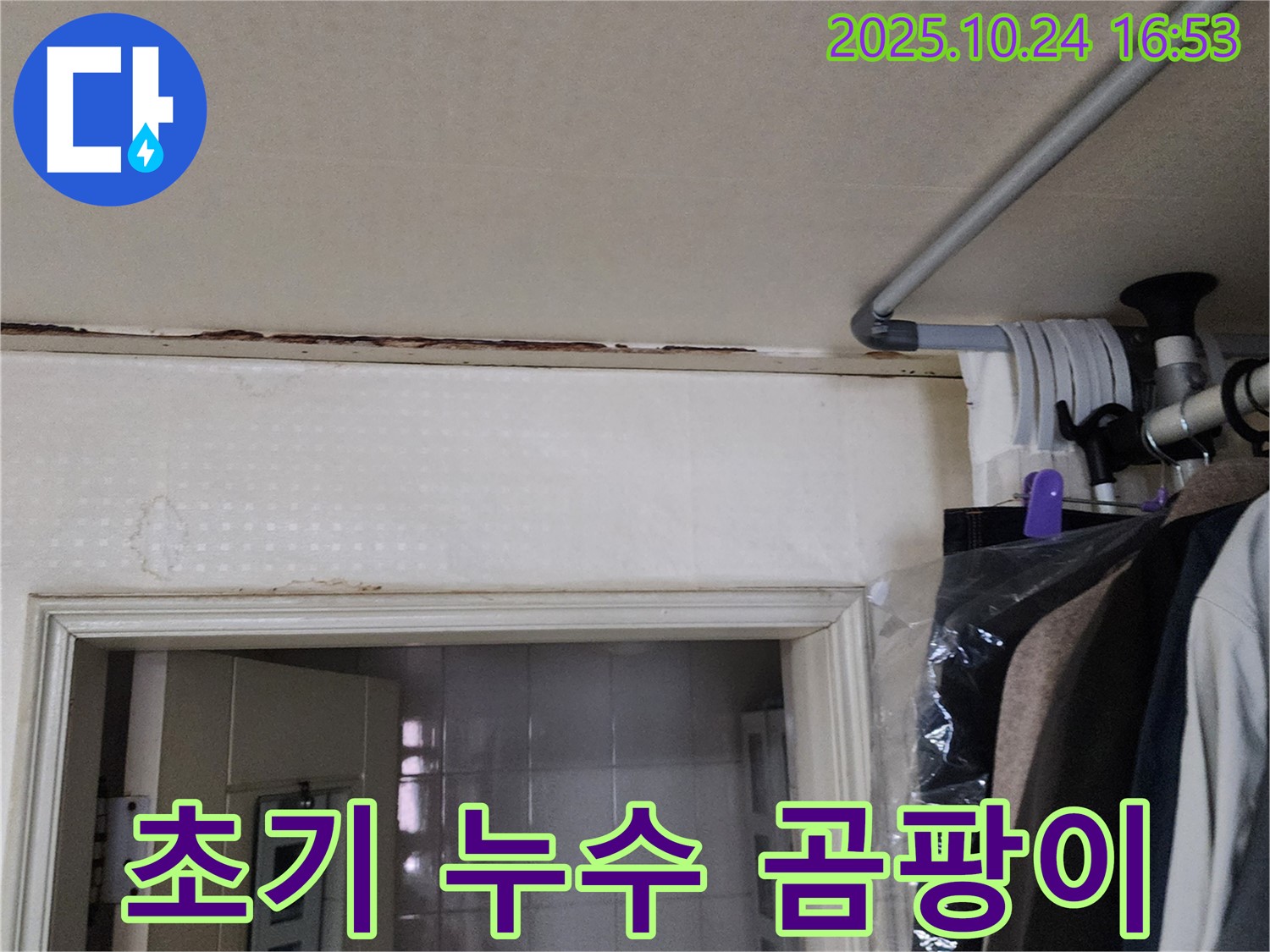 양주시 - 초기 누수 - 곰팡이 시작 진단