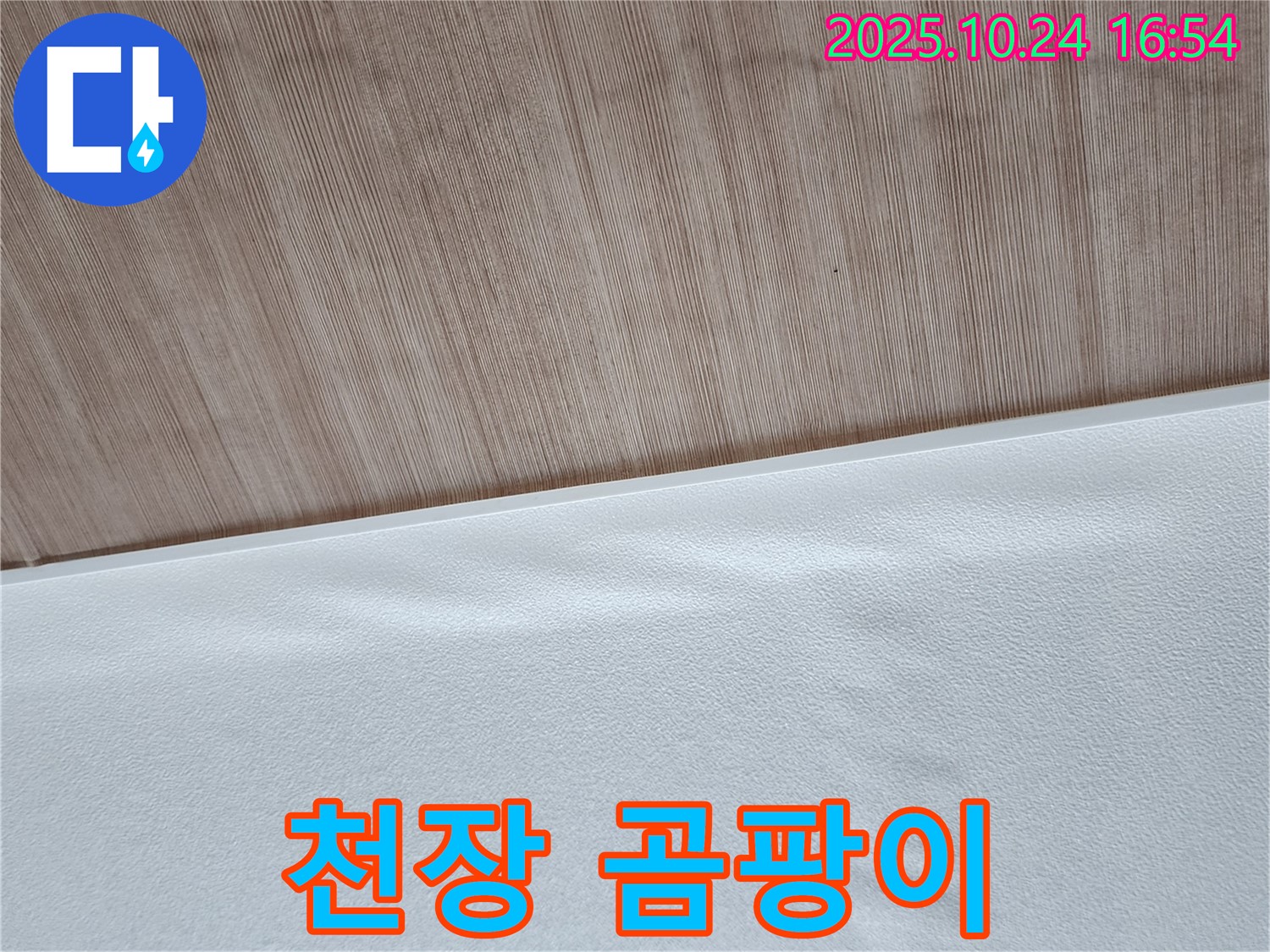 천장 곰팡이 - 누수로 인해 천장에 곰팡이가 핀 모습입니다.