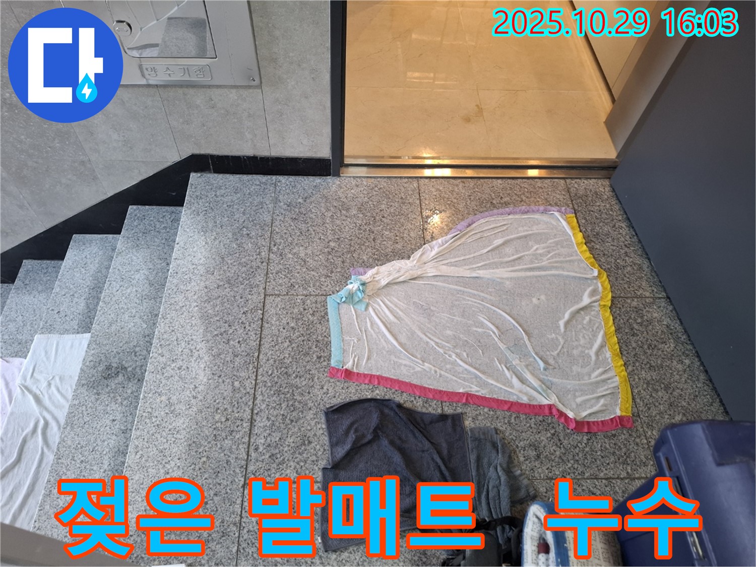 행신동 누수 현장 - 젖은 발매트, 설마 누수?!