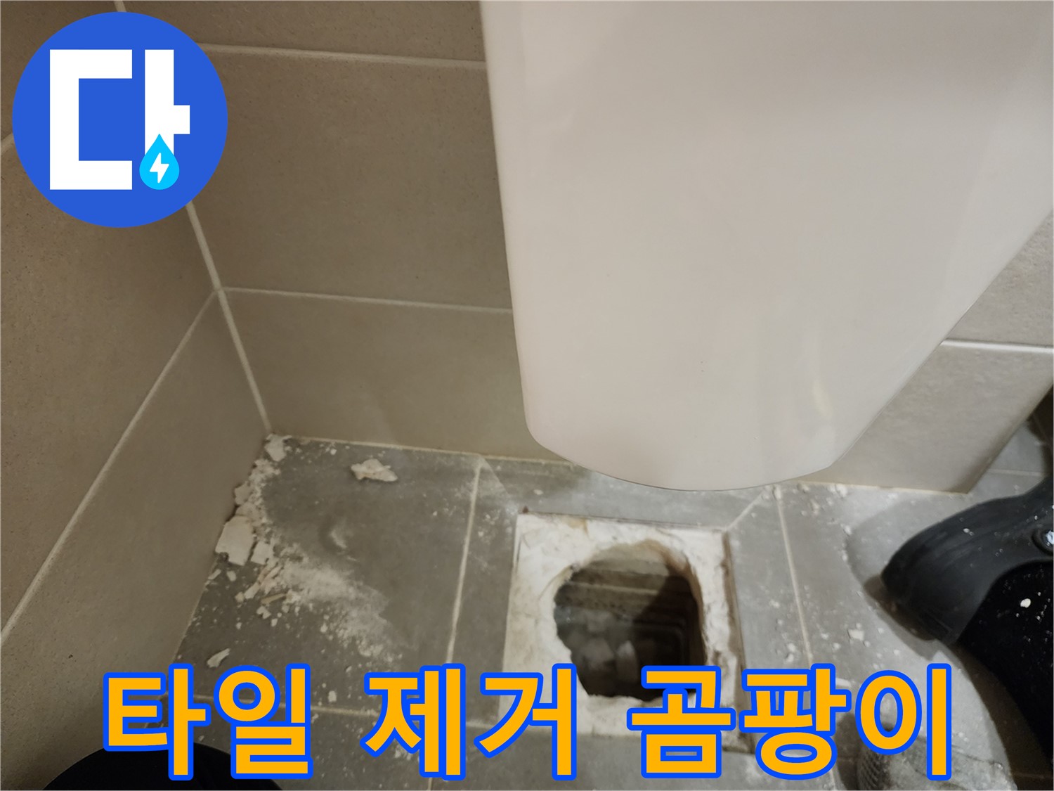 금호동 신금호파크자이 아파트 - 들뜬 타일 제거 후 곰팡이 발견