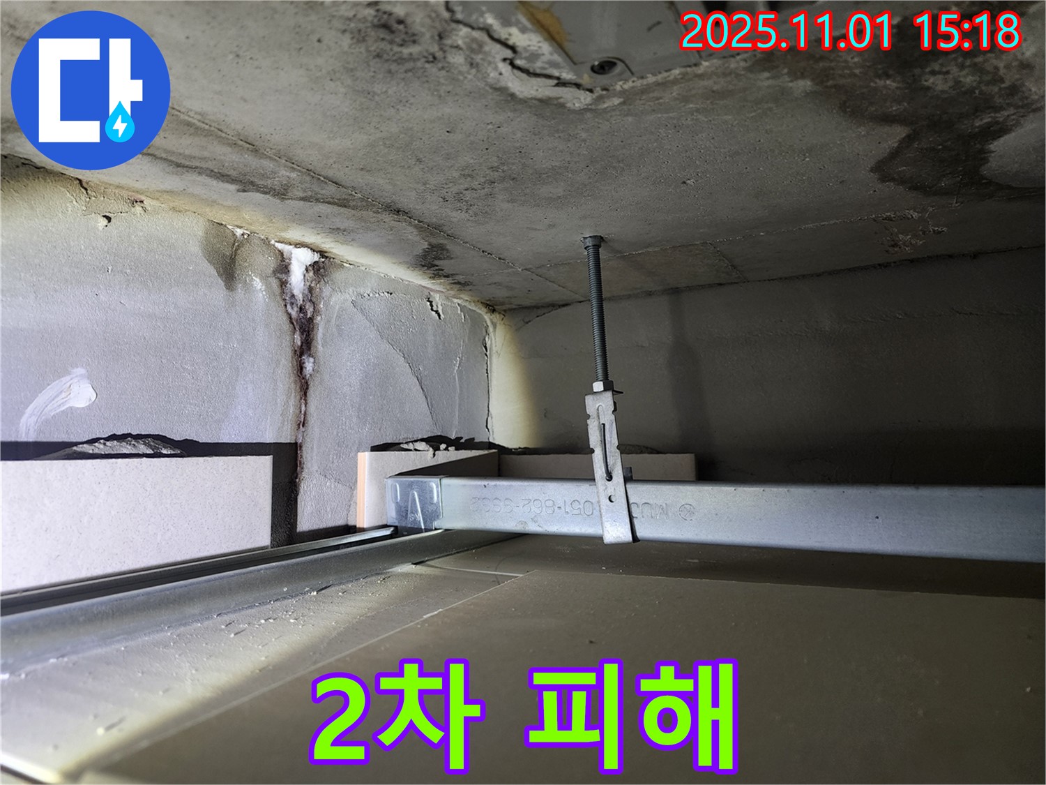 금호동2가 신금호파크자이 아파트 - 천장 누수 2차 피해, 벽지 곰팡이 발견